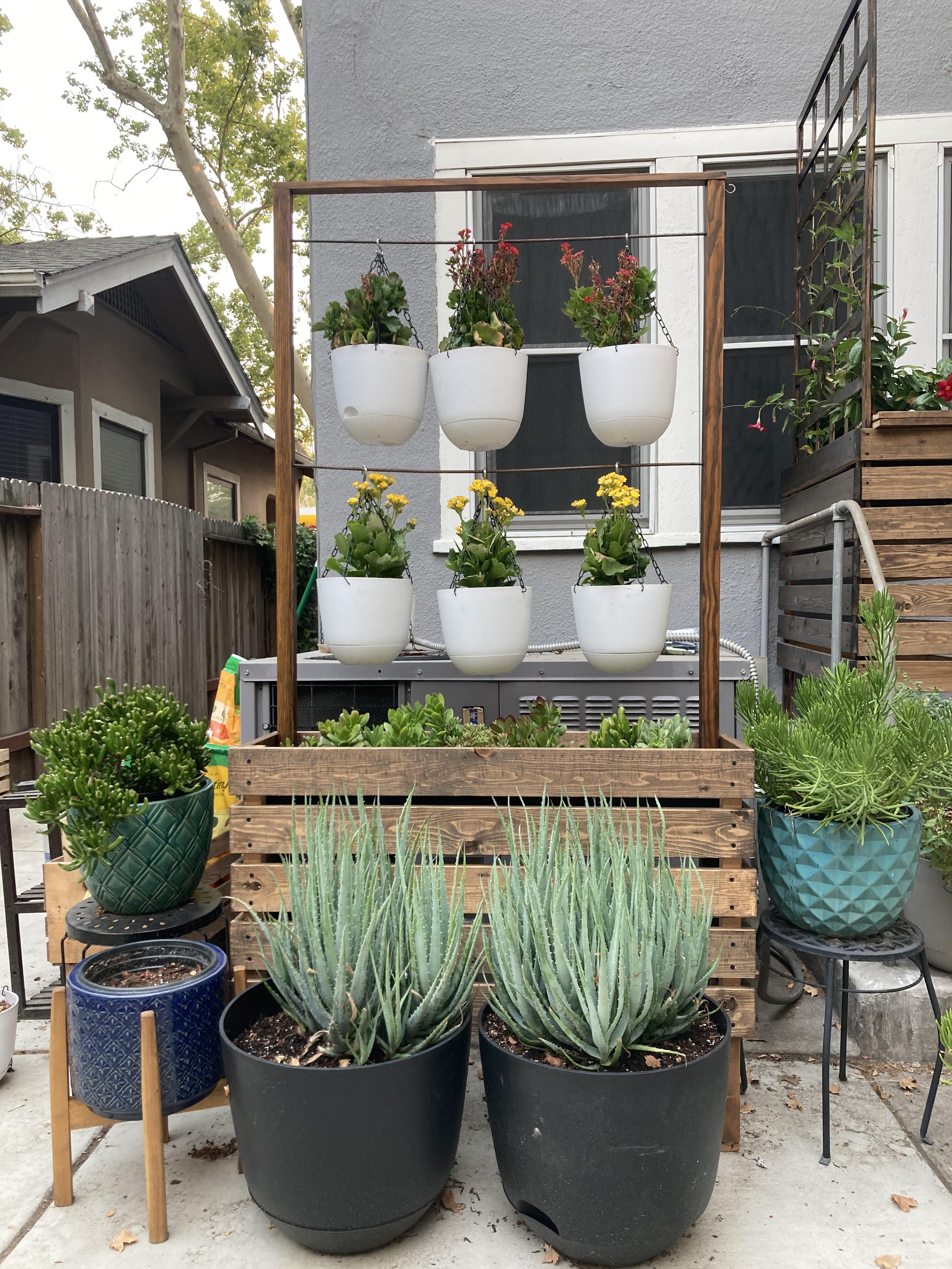 Hanging plants to try to hide my huge AC unit. r/HangingPlants
