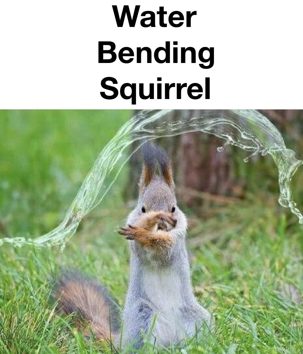 waterbending squirrel r/meme