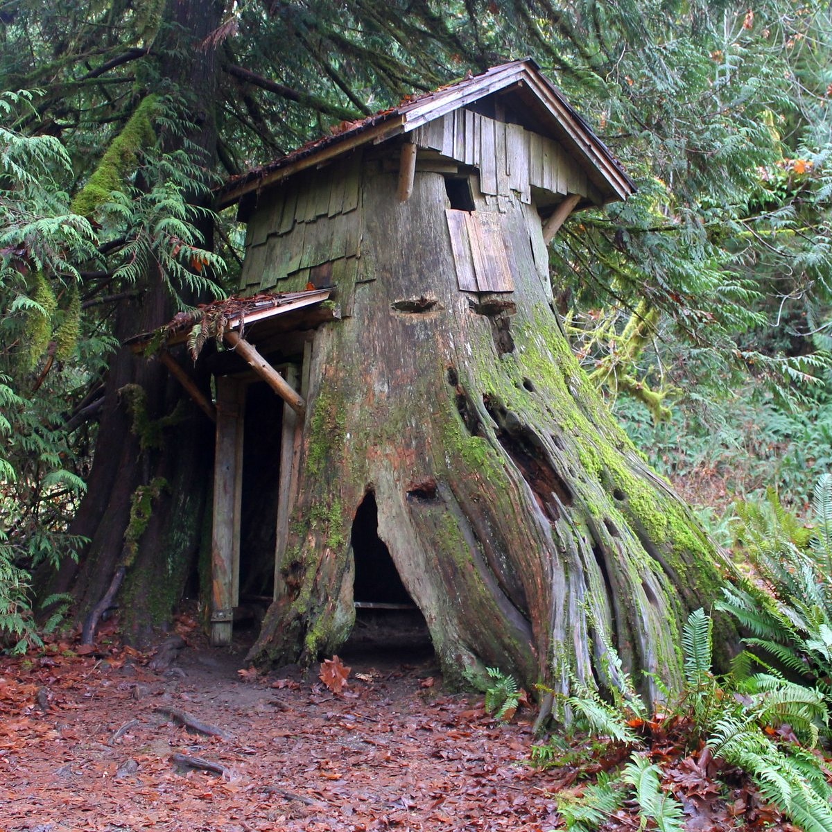 Stump Cabin, Kitsap Peninsula, WA State [1024×1024](OC) r/CabinPorn