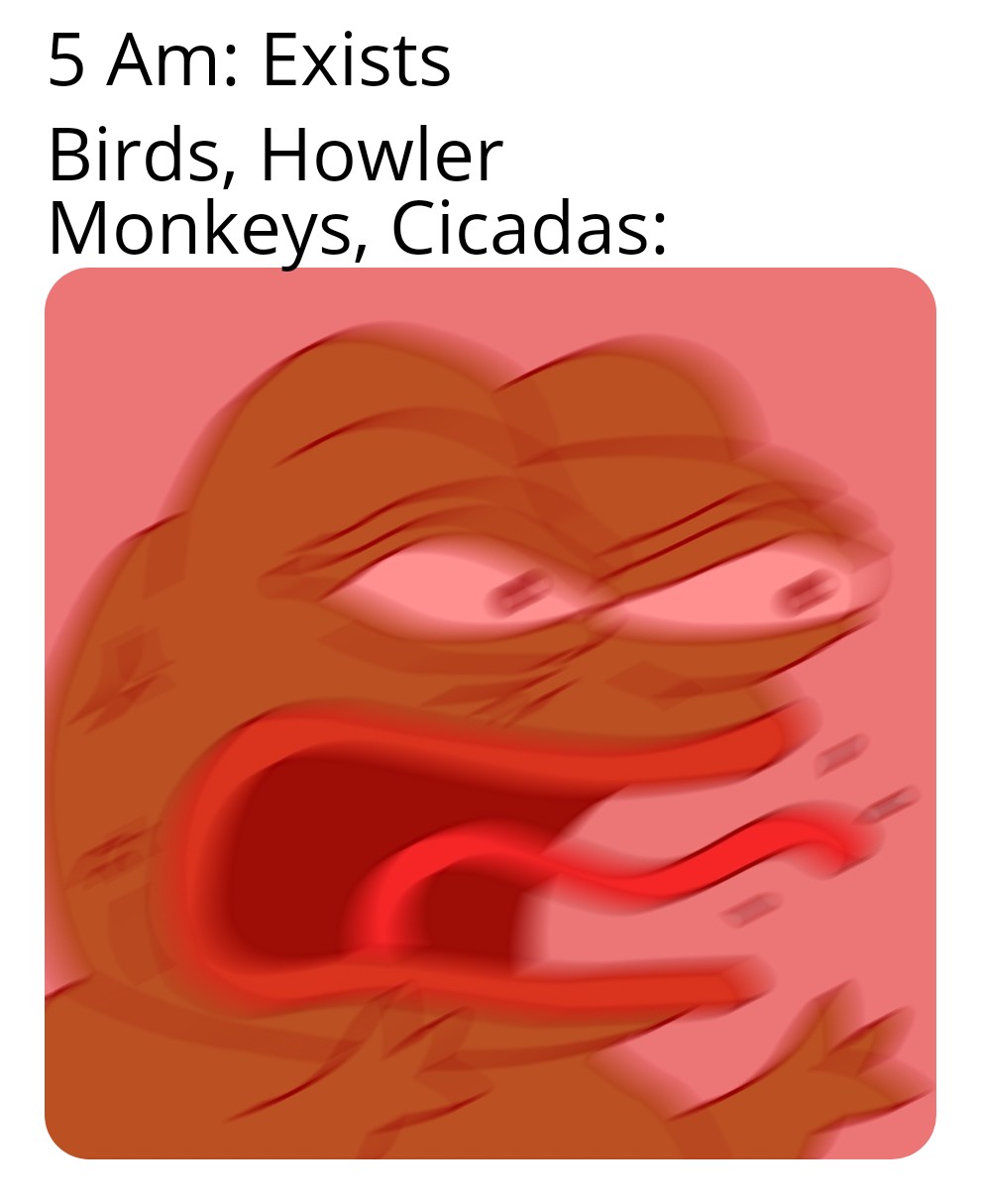 Nature's Alarm Clock. r/memes