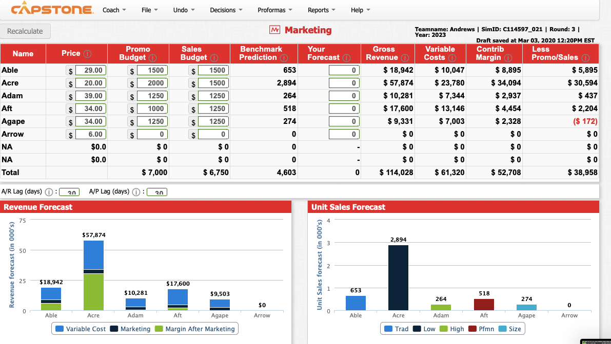 Introducing a new product Capsim