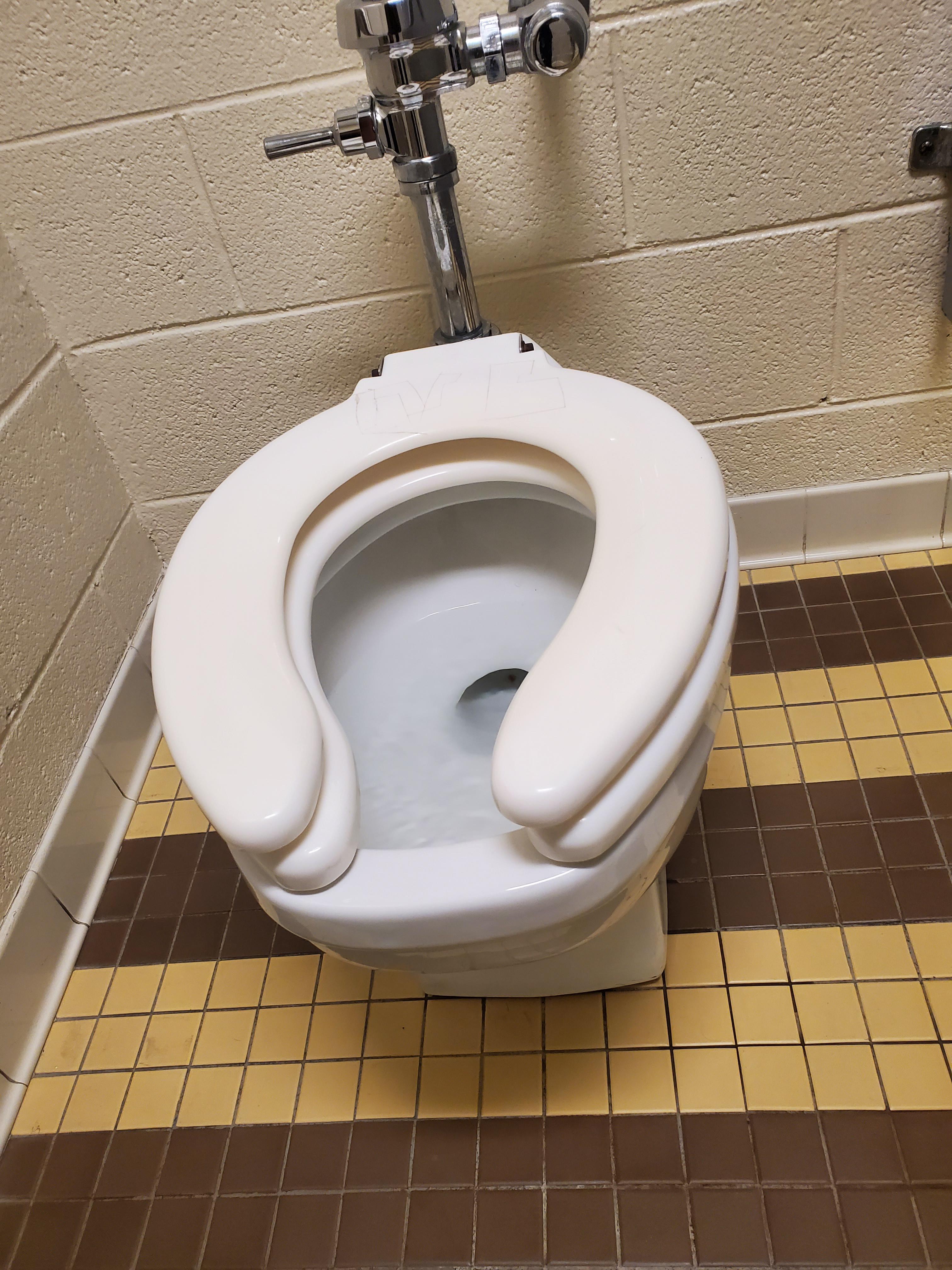 This toilet has two toilet seats r/mildlyinteresting