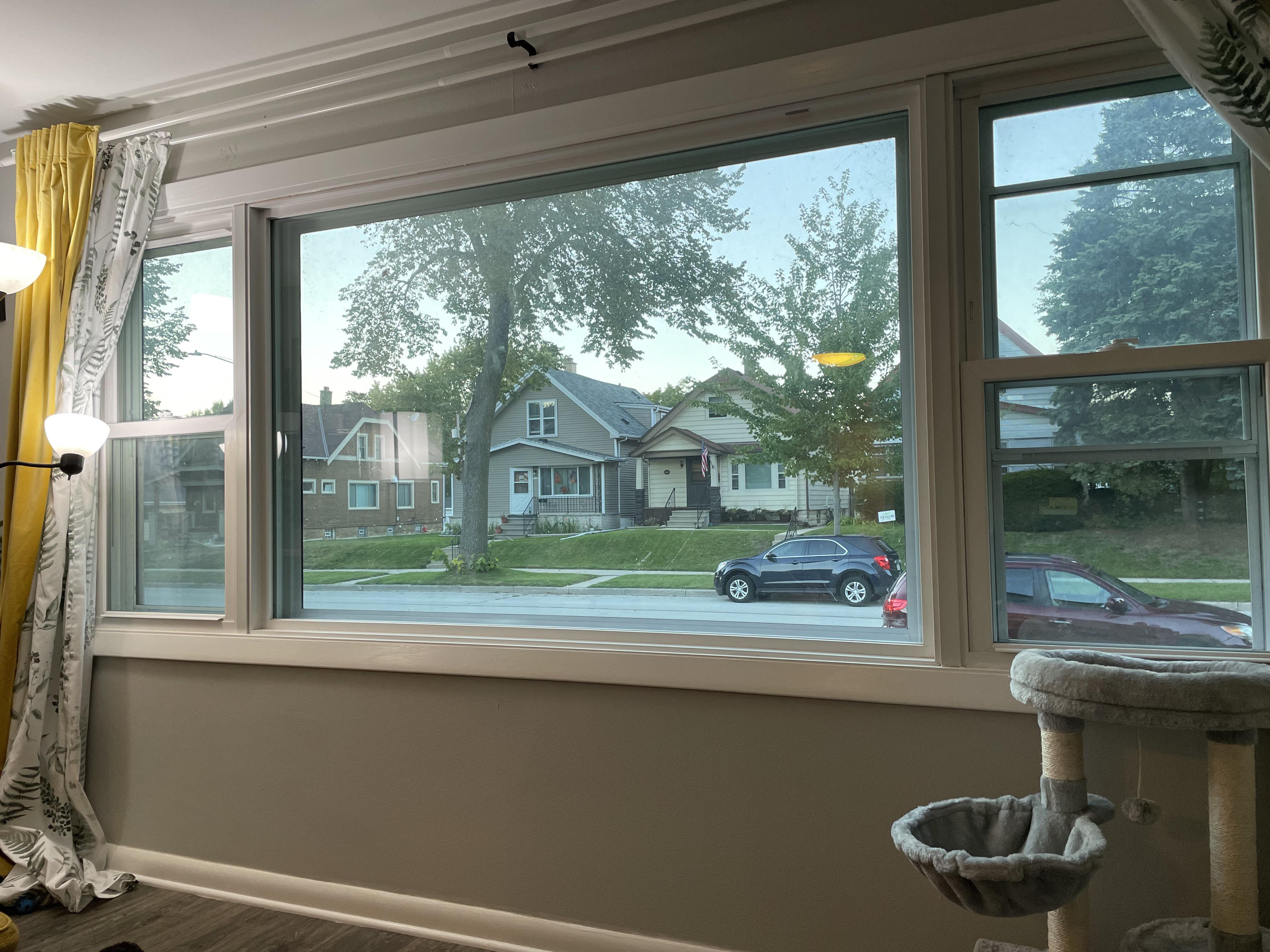 13 Great Low Light Houseplants for North Facing Windows / Indoor Plants