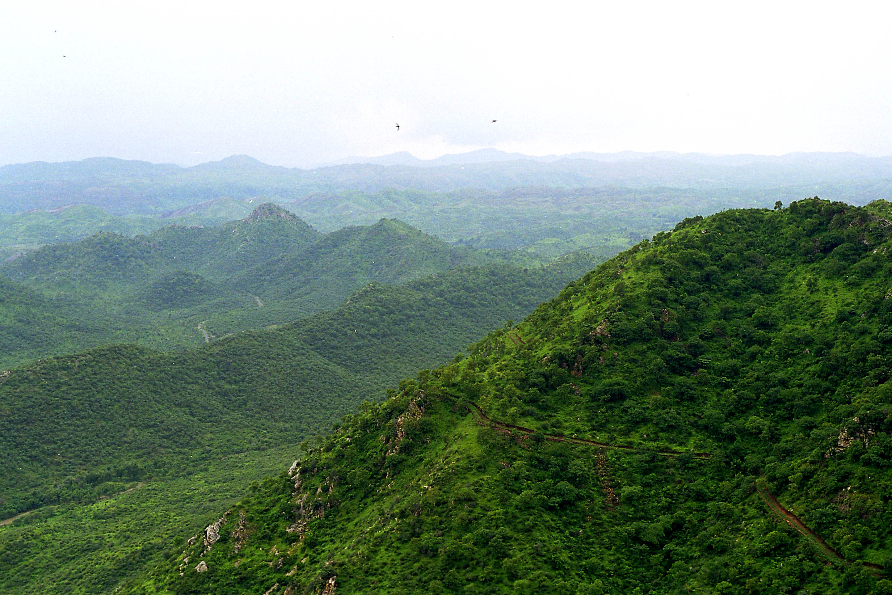 The Aravalli Range, an eroded stub of ancient mountains, is the oldest