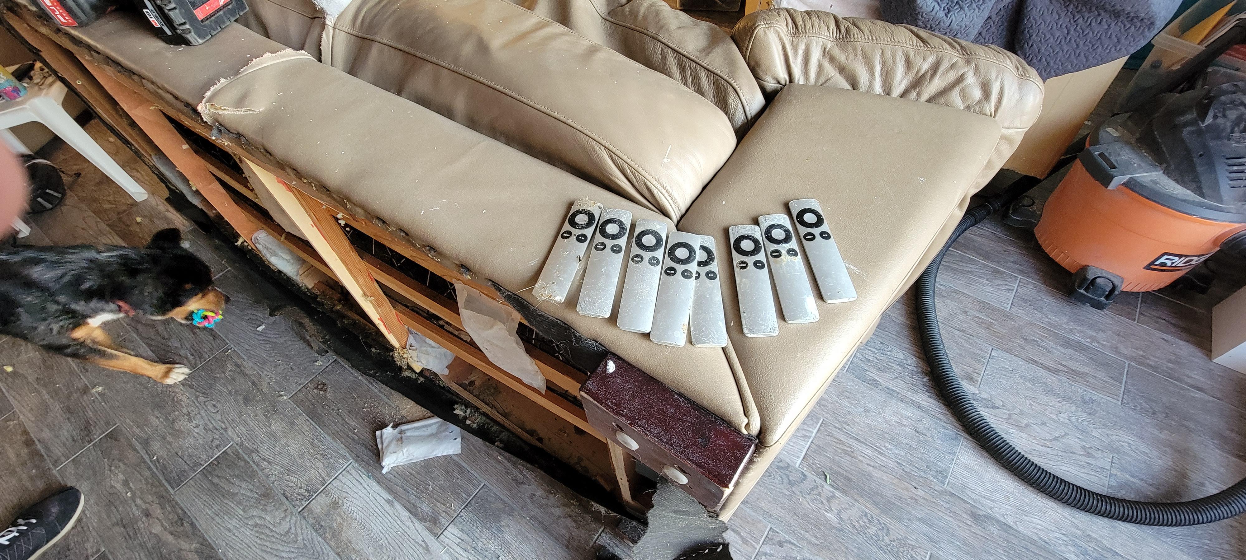 Buddy's dog chewed up the couch. While cutting it up for removal we