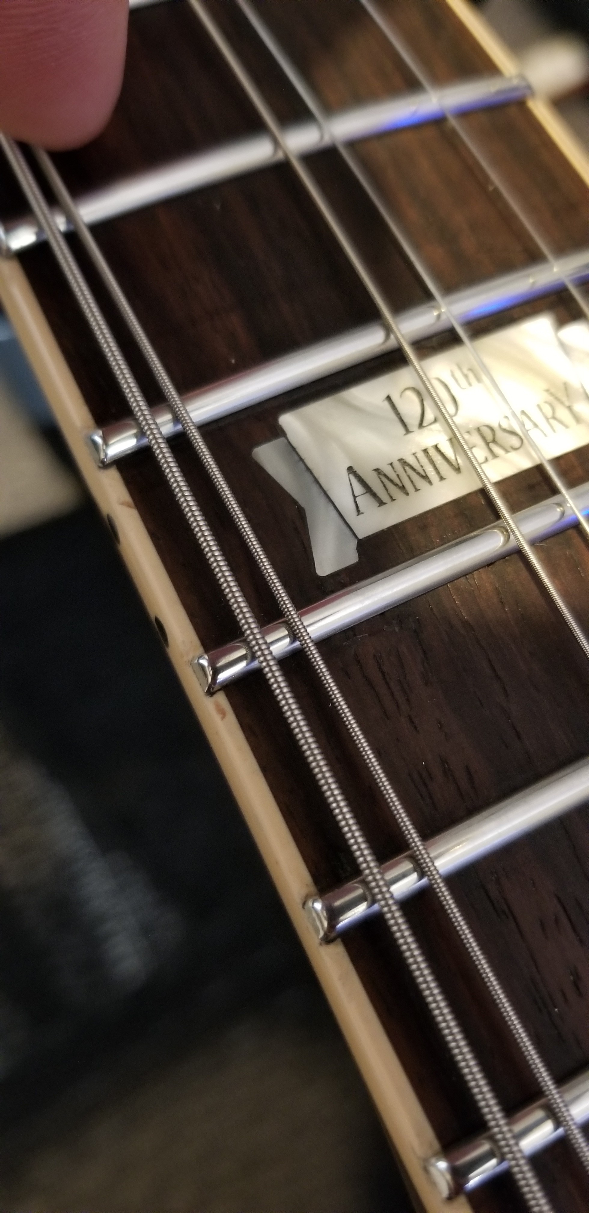 Fret Porn (Gibson Les Paul Standard w/ Stainless Steel Jumbo Frets) r