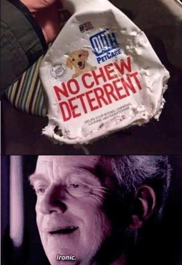 Is your dog chewing antidog things? r/memes