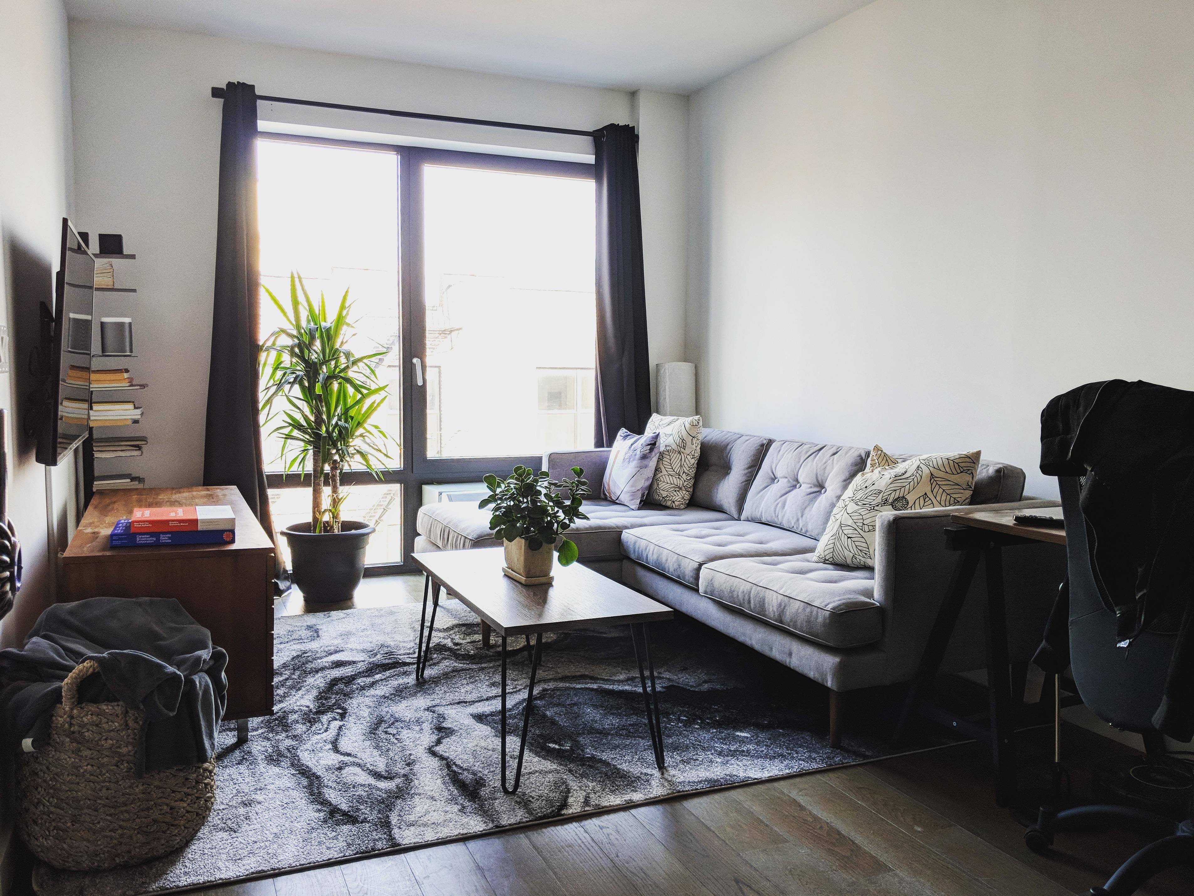 My living room in New York City (Queens) AmateurRoomPorn