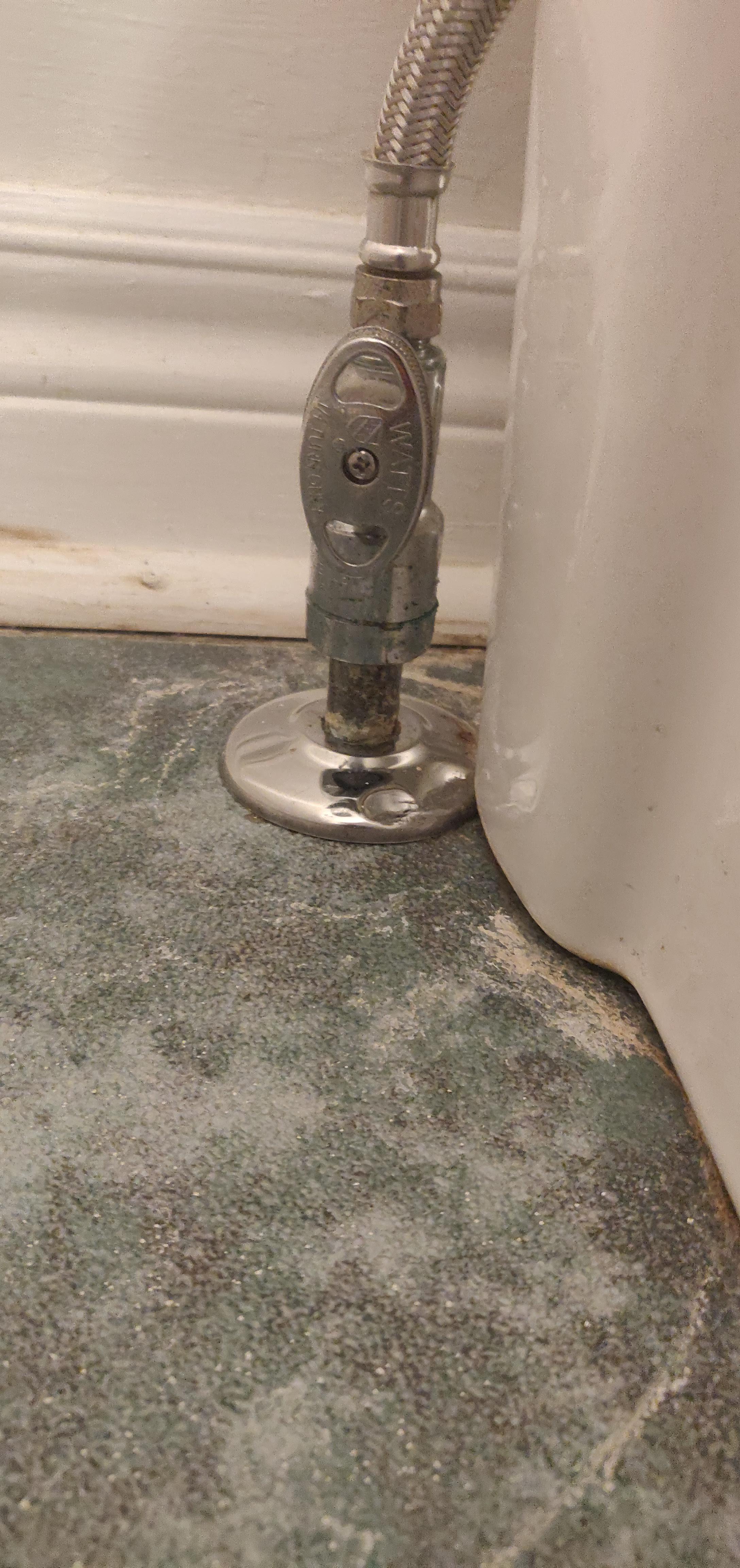 Leaky shutoff valve....need some advice before I attempt to replace : r