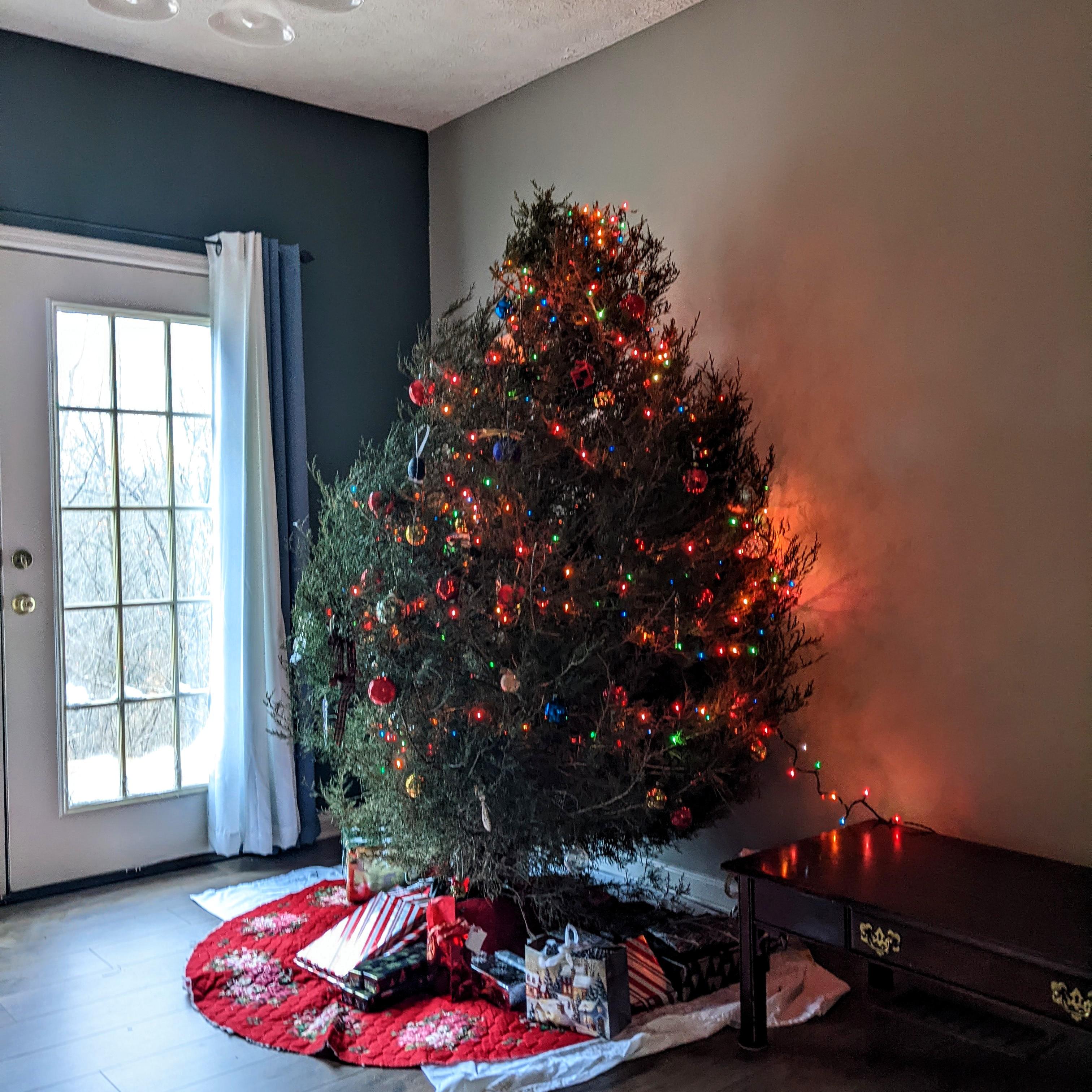 It occurred to me that technically my family forages our Christmas