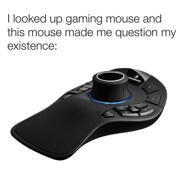 Gaming mouse r/memes