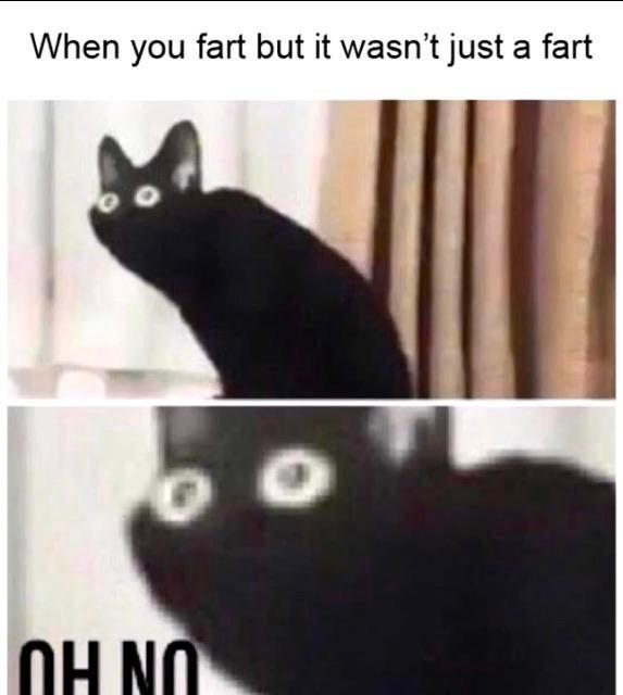 Shocked Black Cat Meme