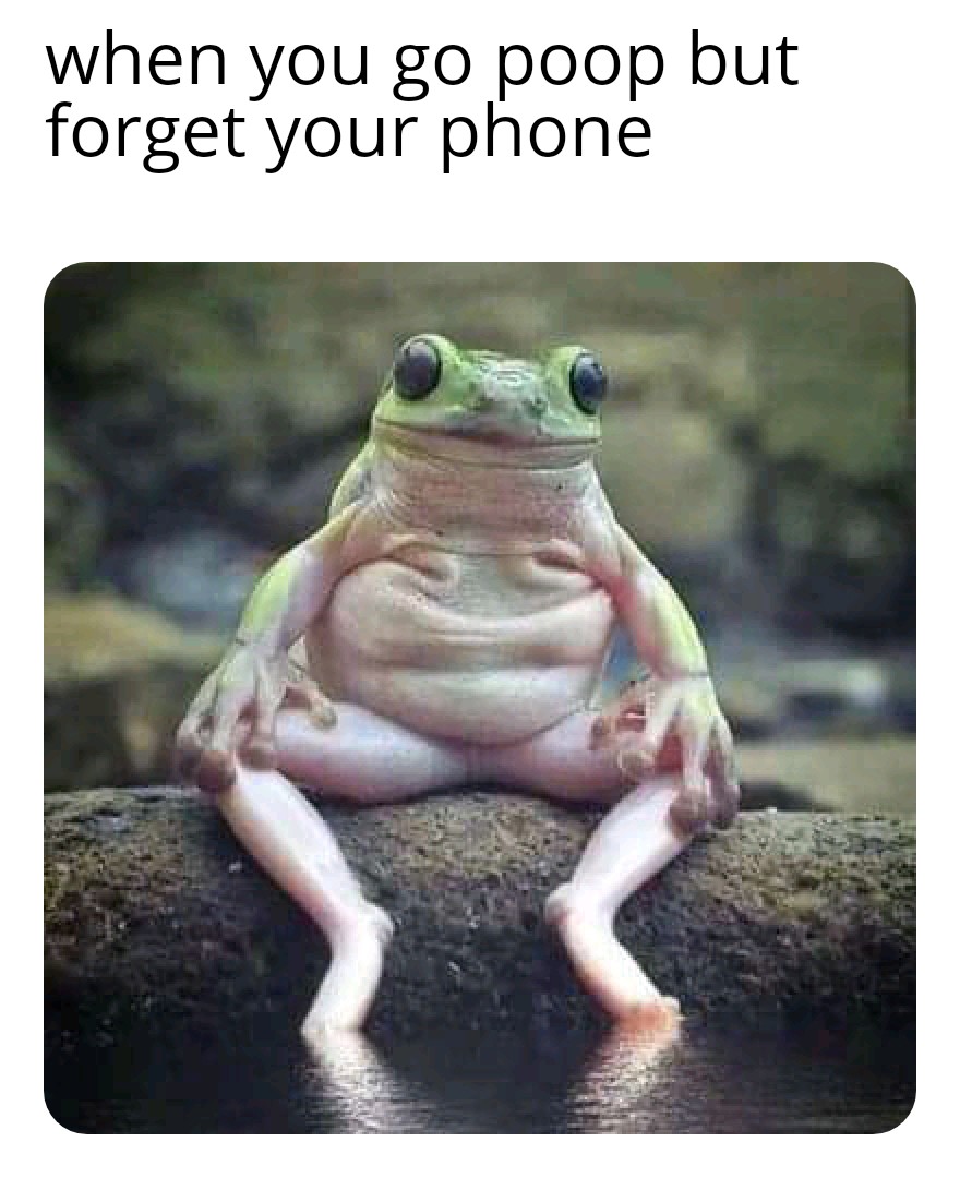 Haha meme funny frog r/PewdiepieSubmissions