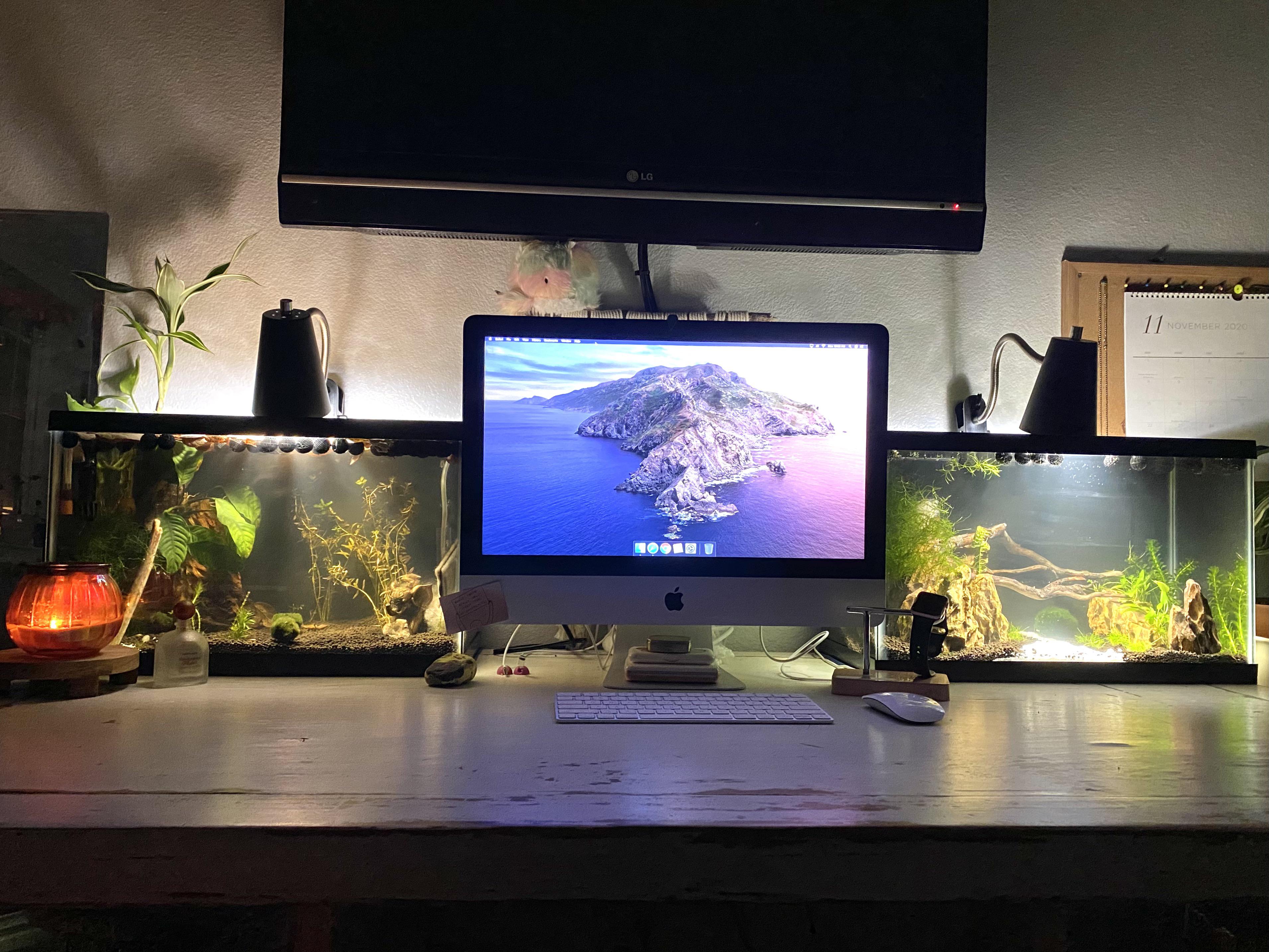 My new desk set up r/Aquariums
