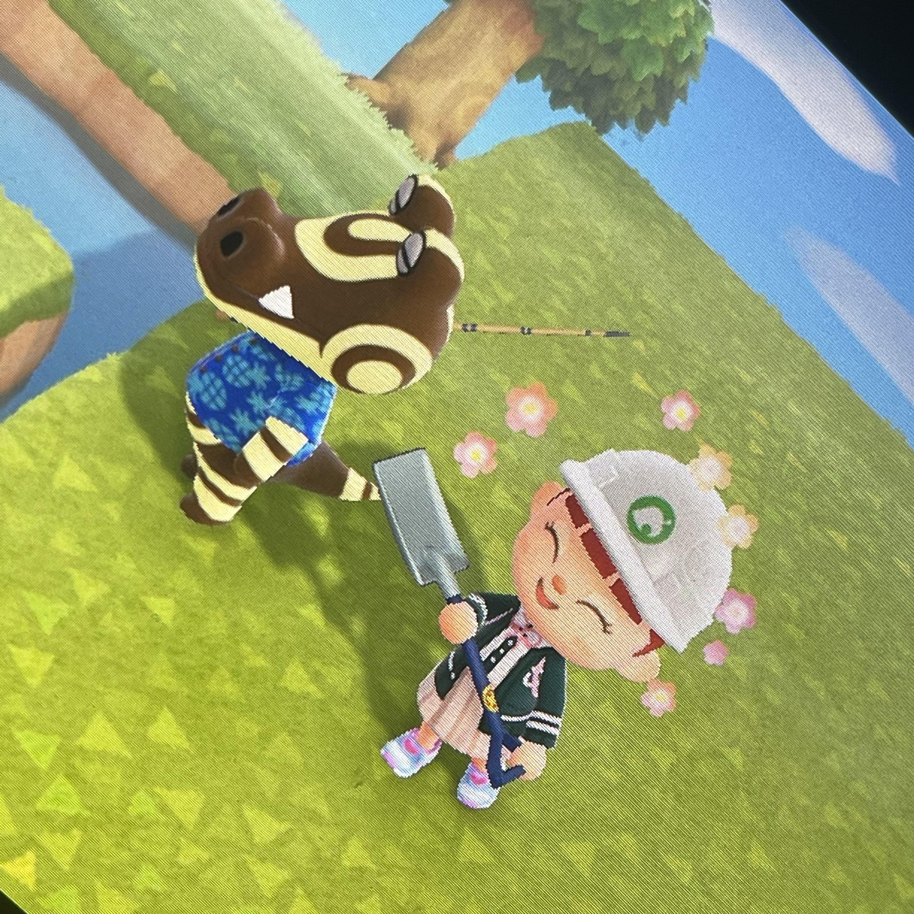 I feel bad kicking out villagers that don’t fit my islands aesthetic