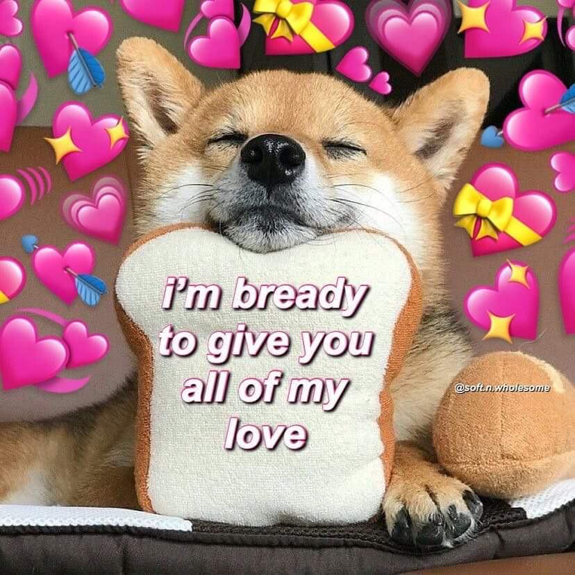 Cute memes holesomememes