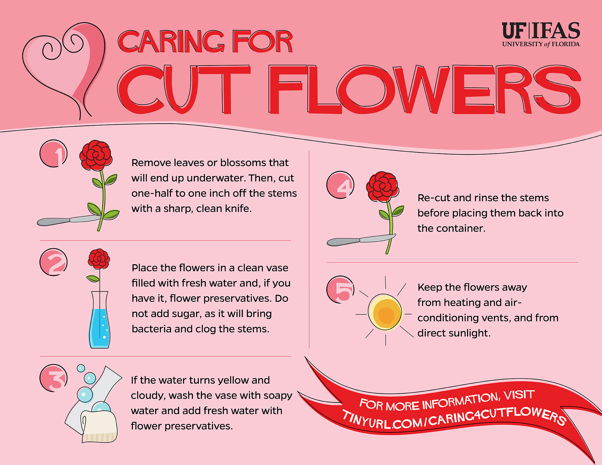 Caring for Cut Flowers guide by UF IFAS r/coolguides