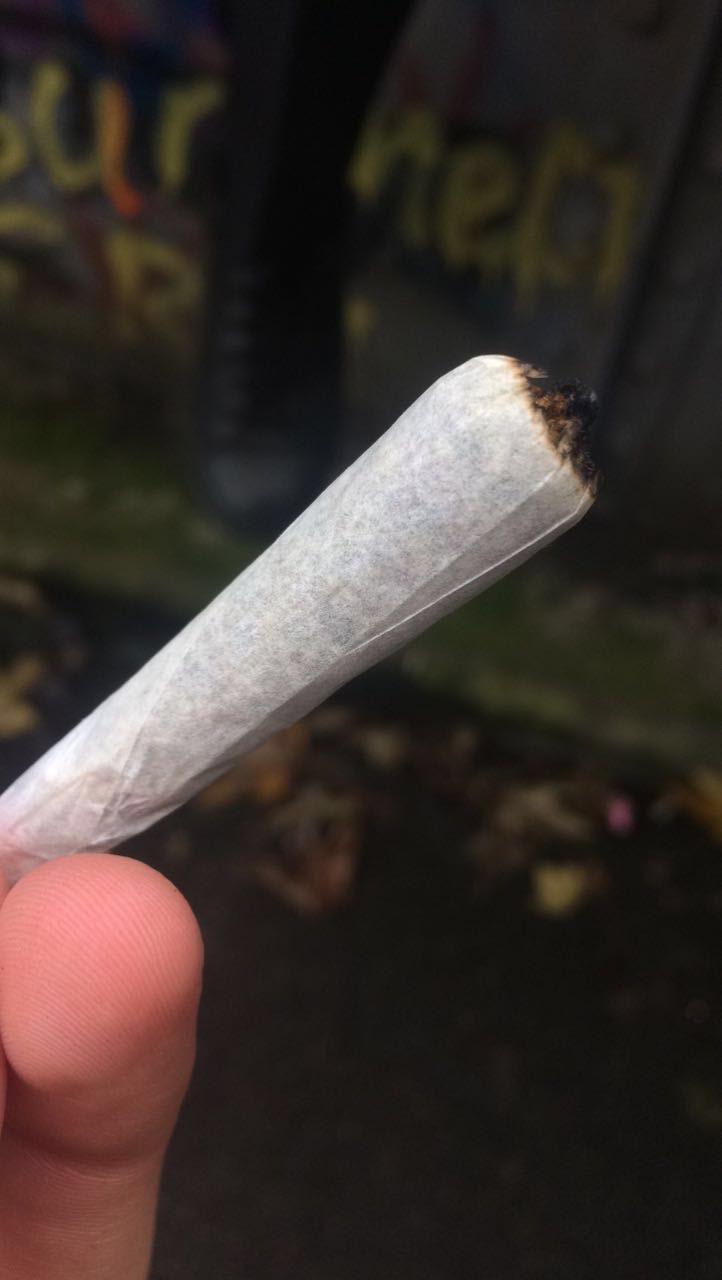 Fat Joint Herbs and Food Recipes