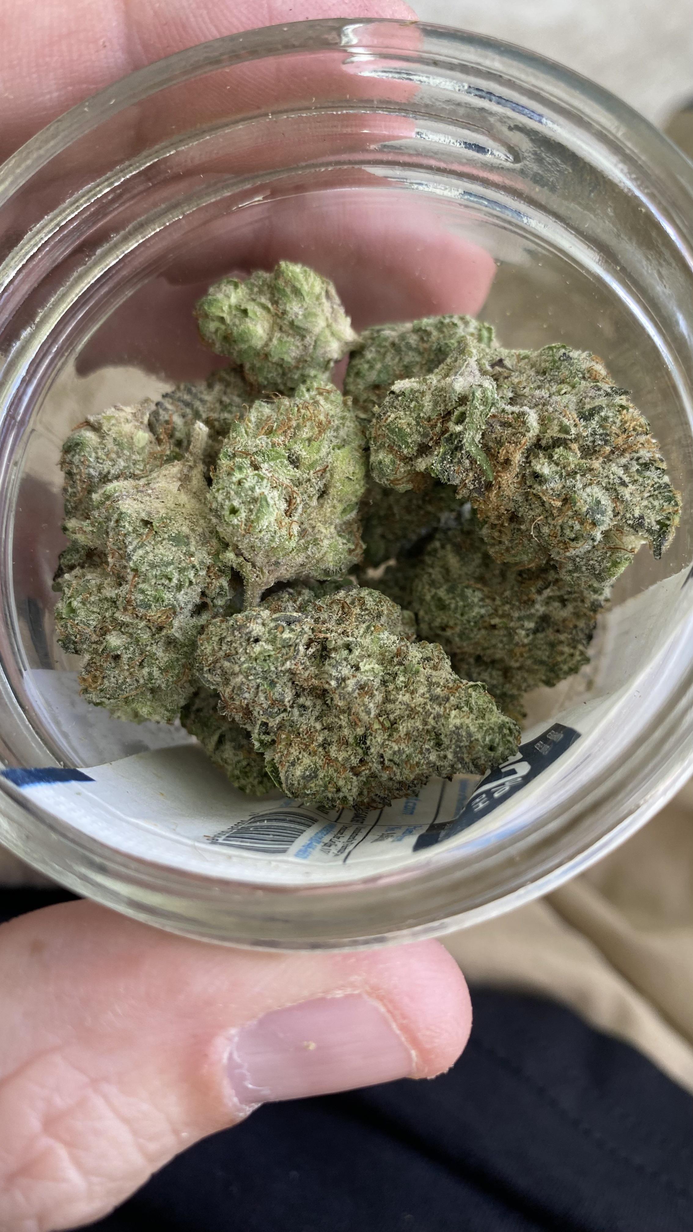 Space Mints reserve strain from MÜV, smells creamy and sweet but kinda