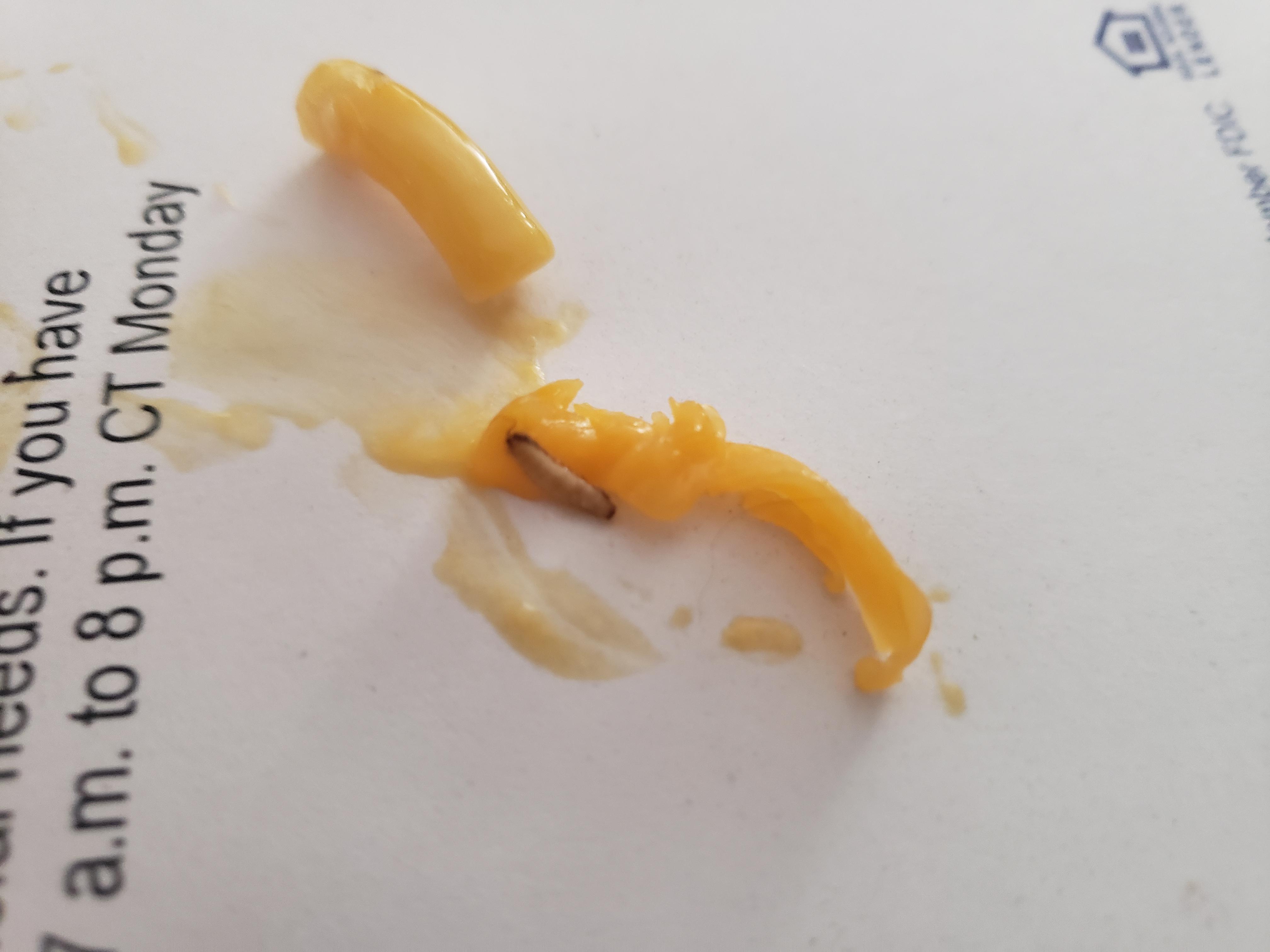 Got half way through my Mac and cheese before I noticed the bugs... r