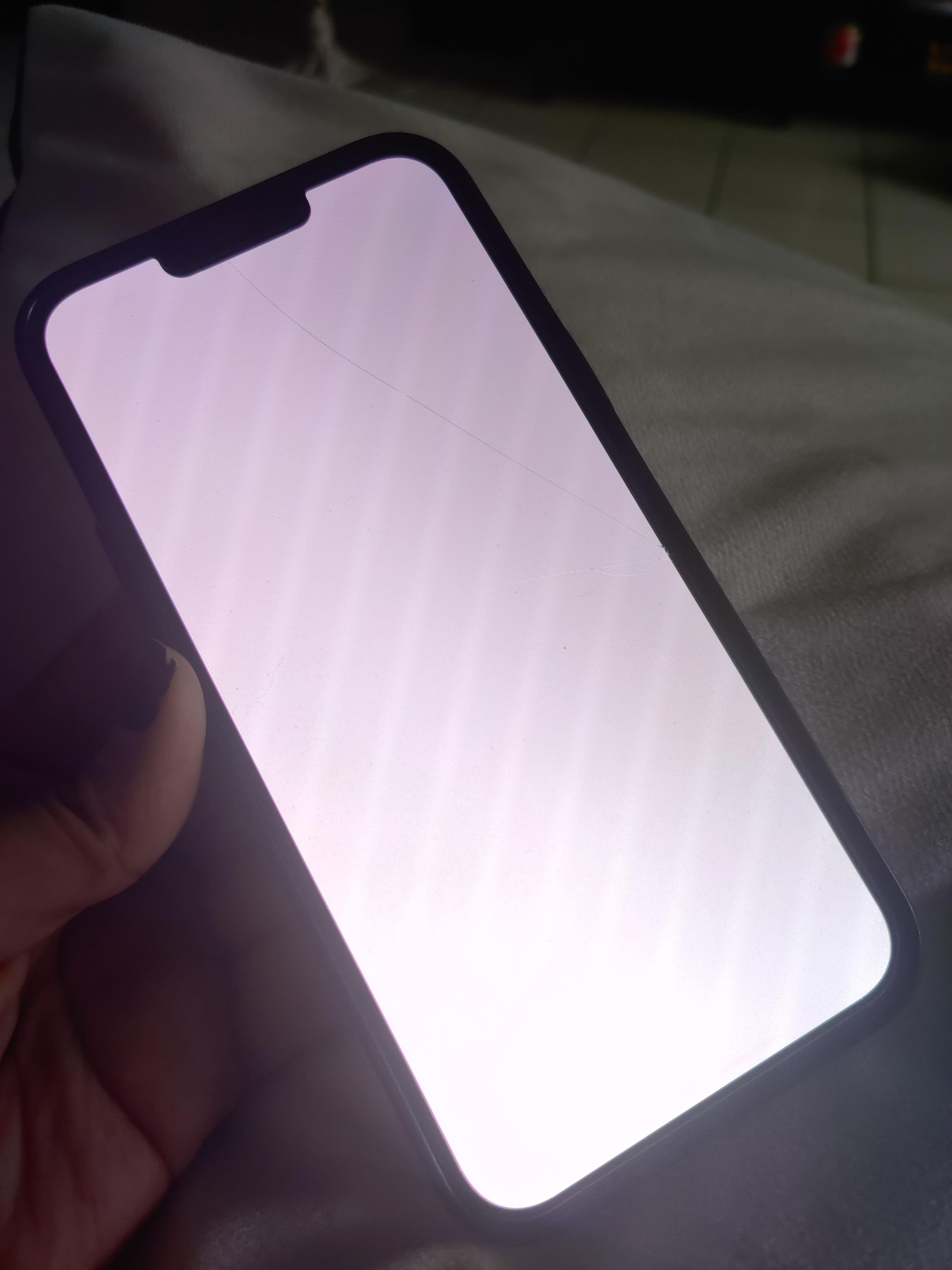 iPhone 13 Pro Max stuck on White screen, I have not dropped it and