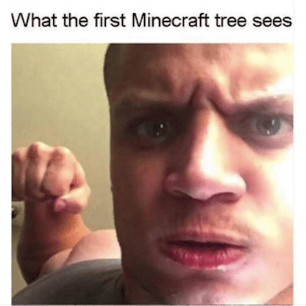 Dark Memes Reddit 25 Best Memes About Dark Souls Reddit Dark Souls