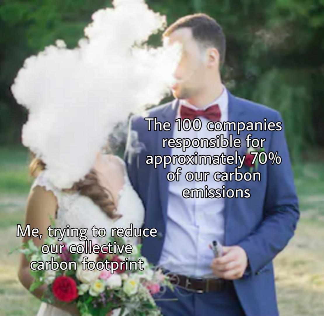 Invest in proenvironmentalism memes for a better future for us AND our
