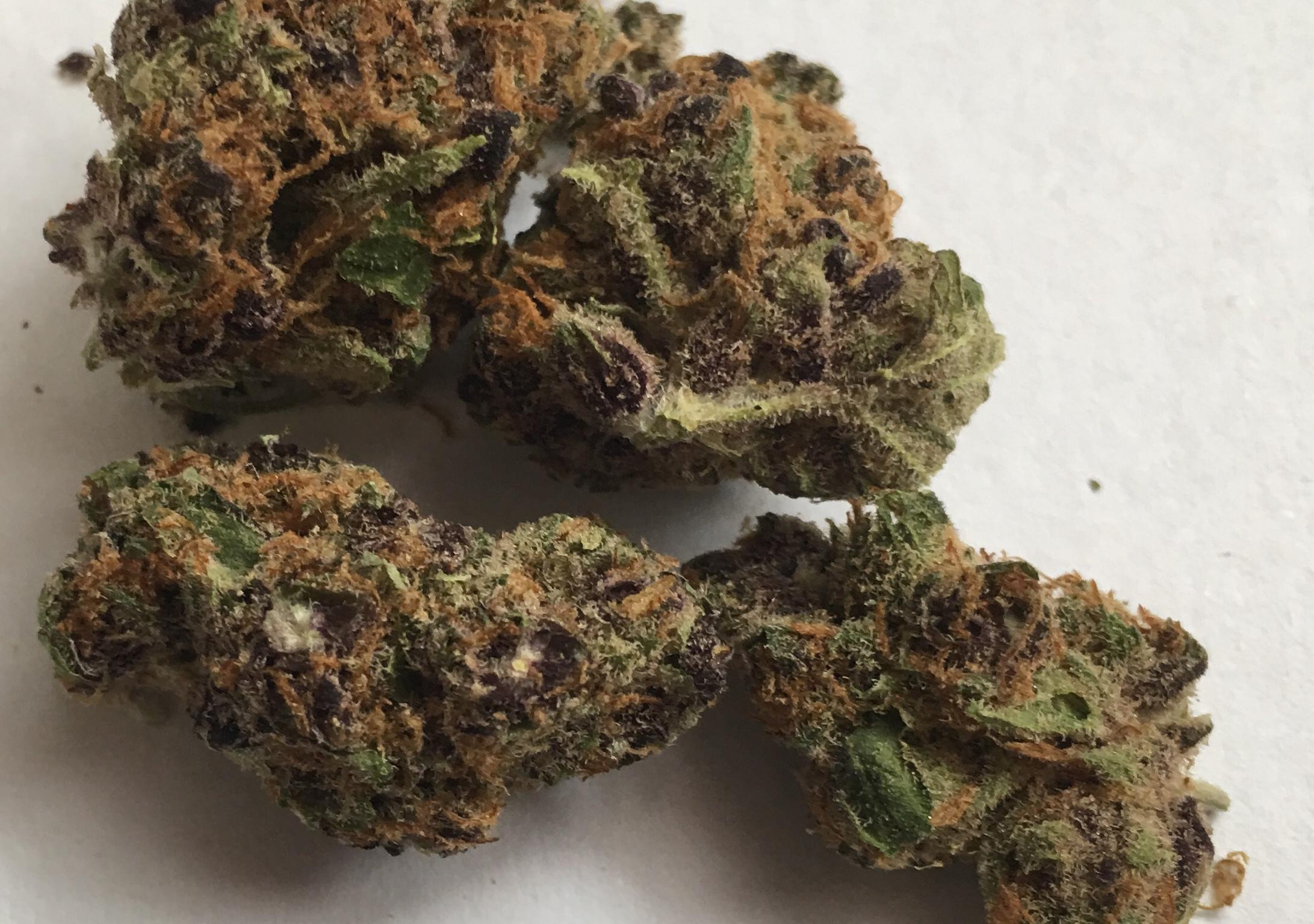 San Rafael Tangerine Dream (OCS) should I worry about the lighter