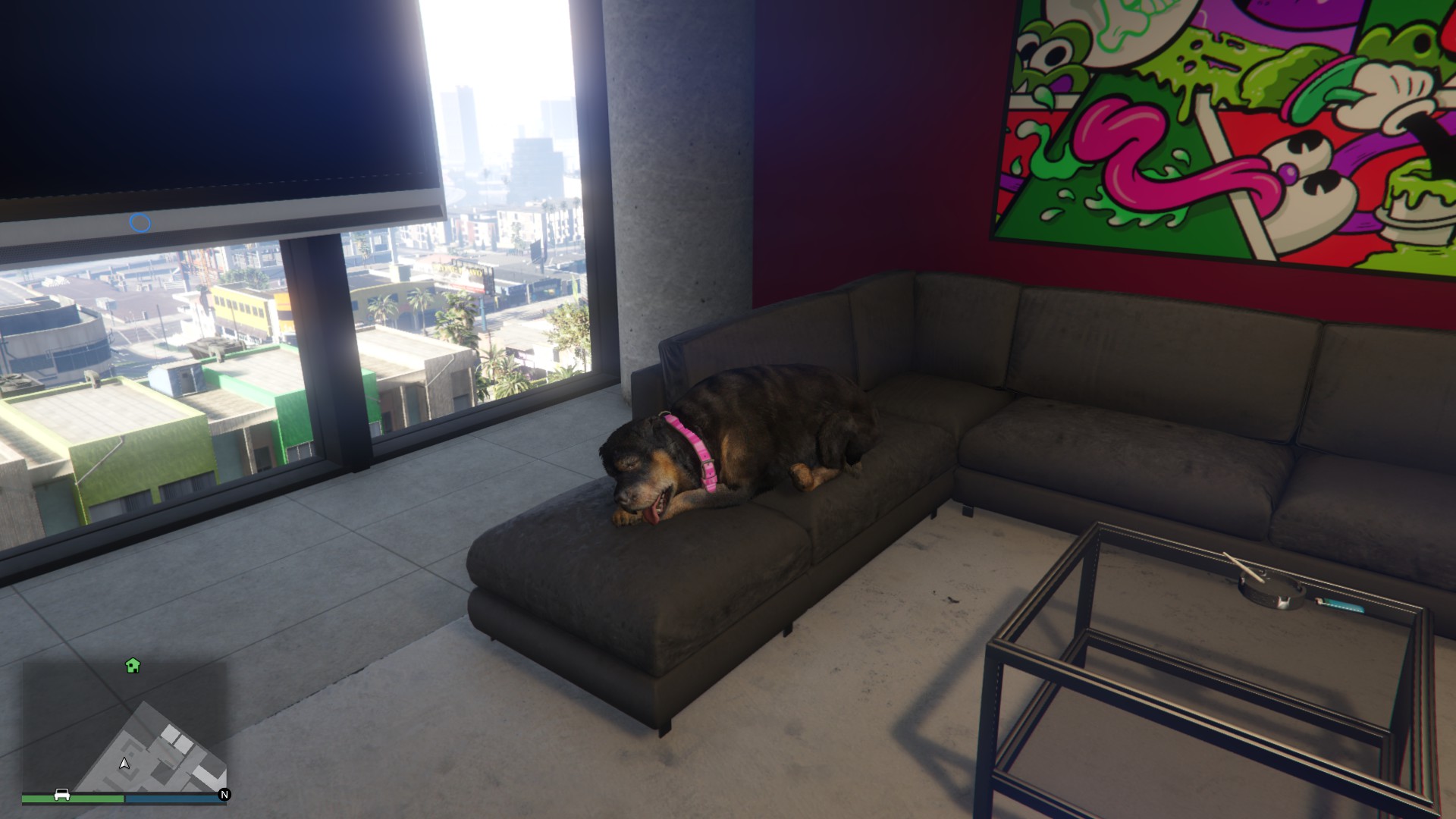 I got on to gta online and when I loaded into the agency I found chop