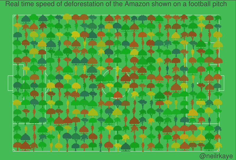 8+ Interesting Deforestation Amazon Facts Everyone Should Know