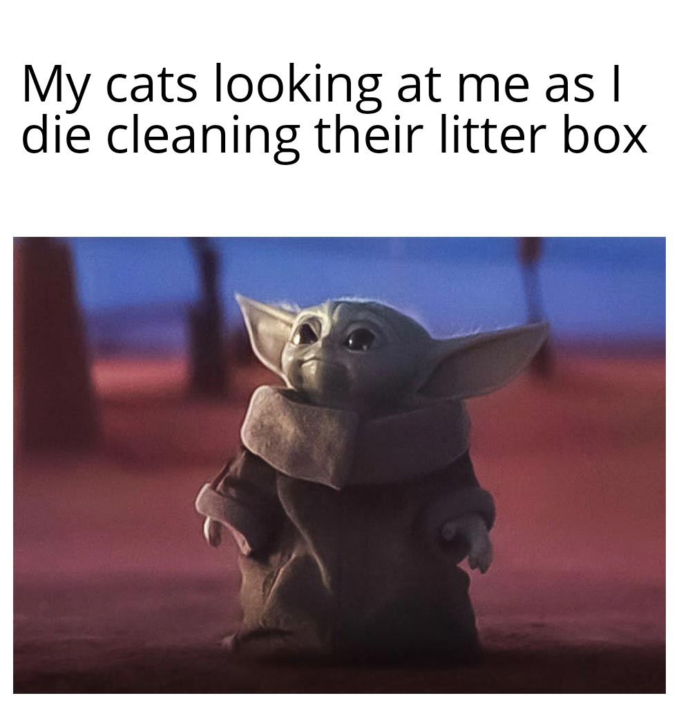 Love my cats but God damn I hate cleaning their litter box. r/memes