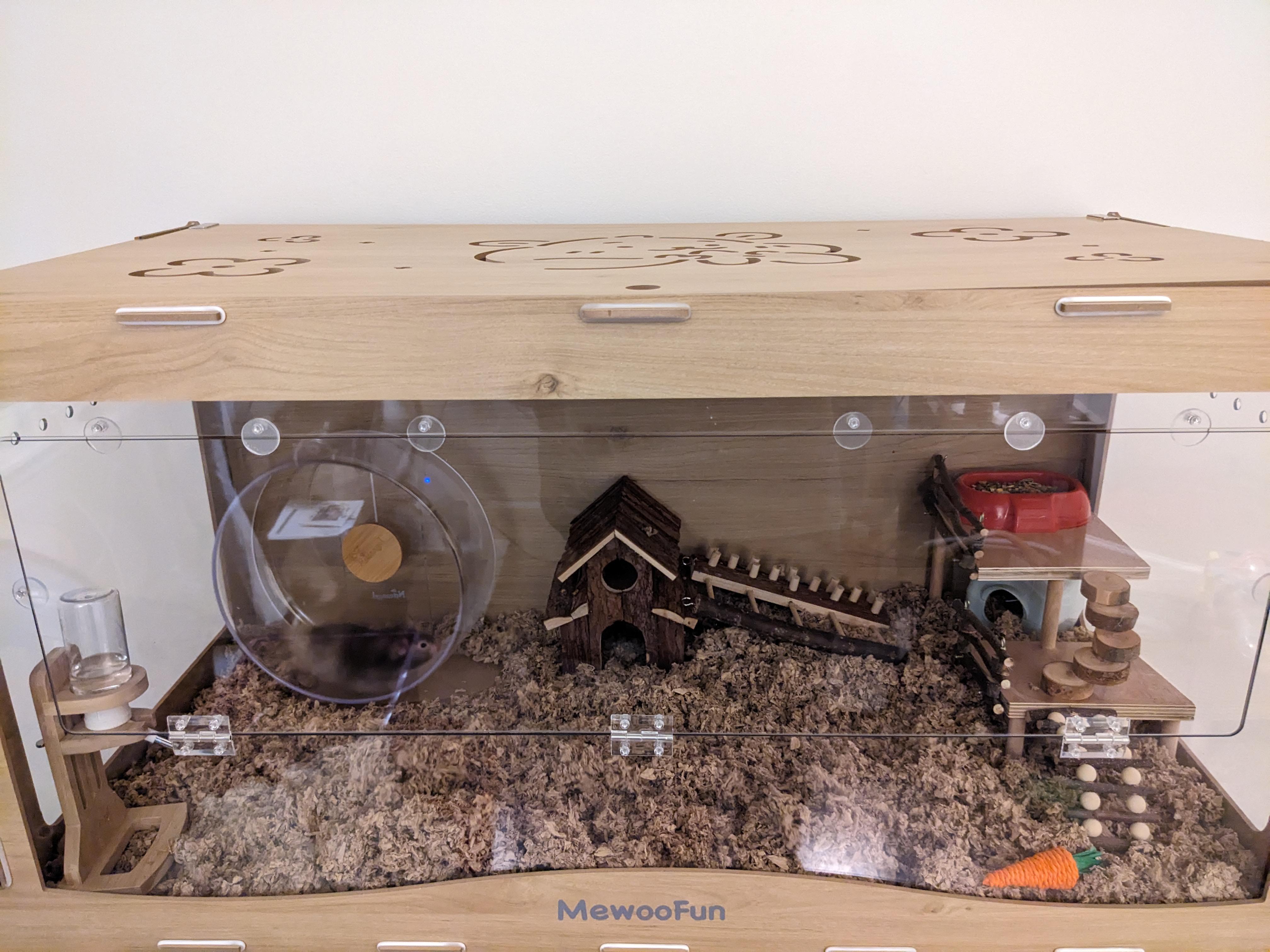 update on my teddy bear hamster enclosure r/hamstercare