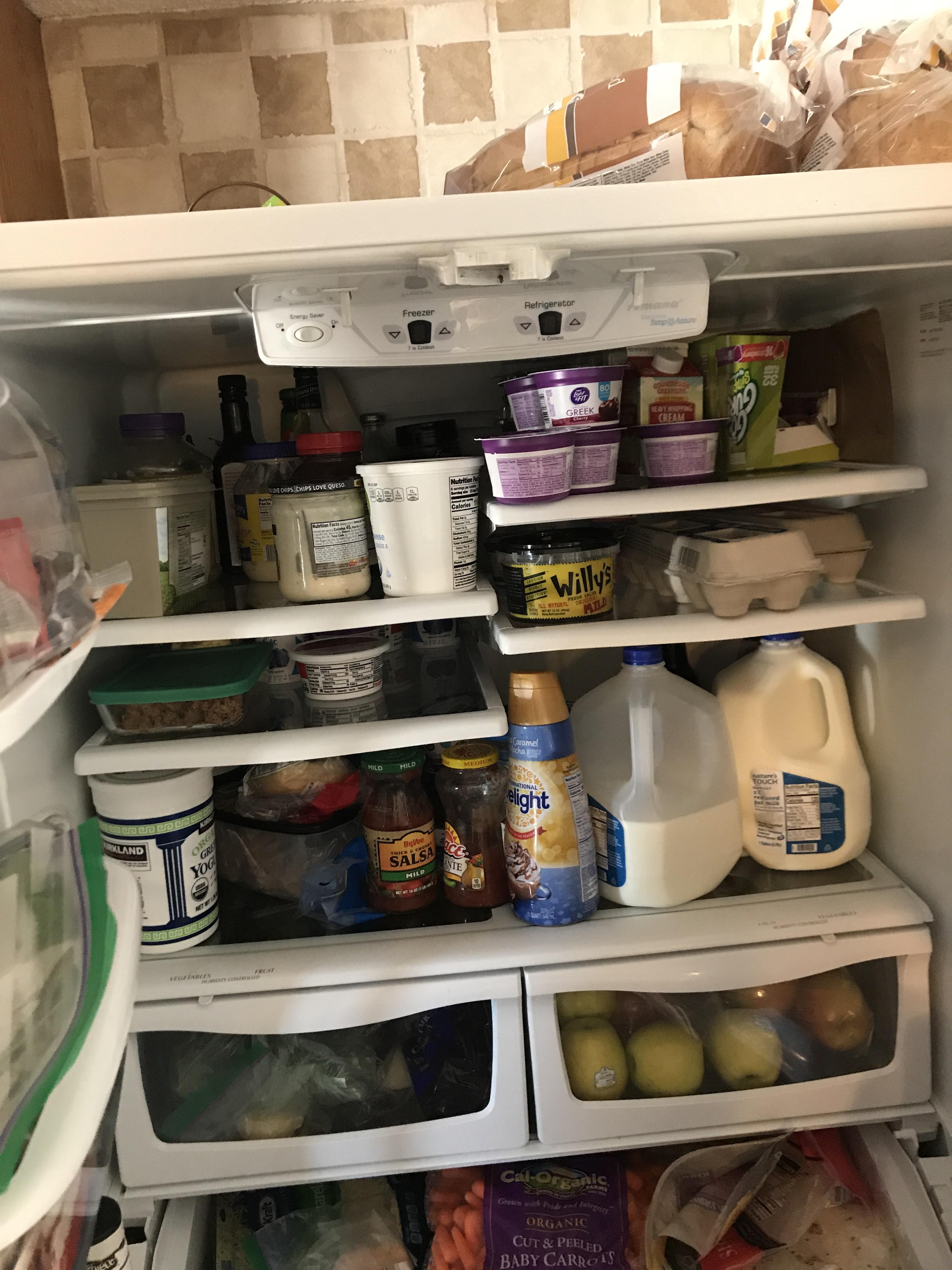 On the coldest day of the year(28f) our fridge decides to stop working