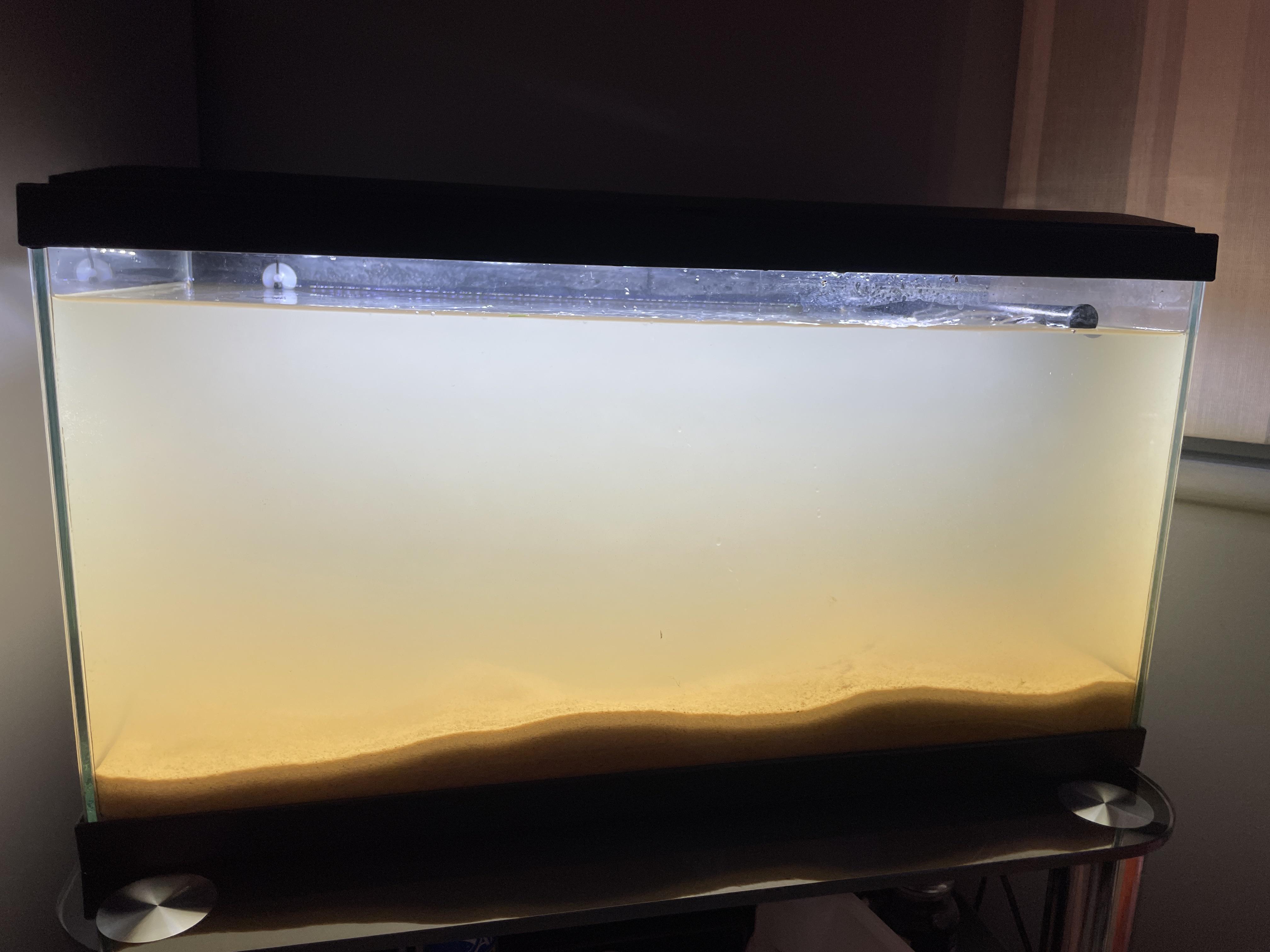 Just changed my tank from gravel to sand. I washed the sand for about