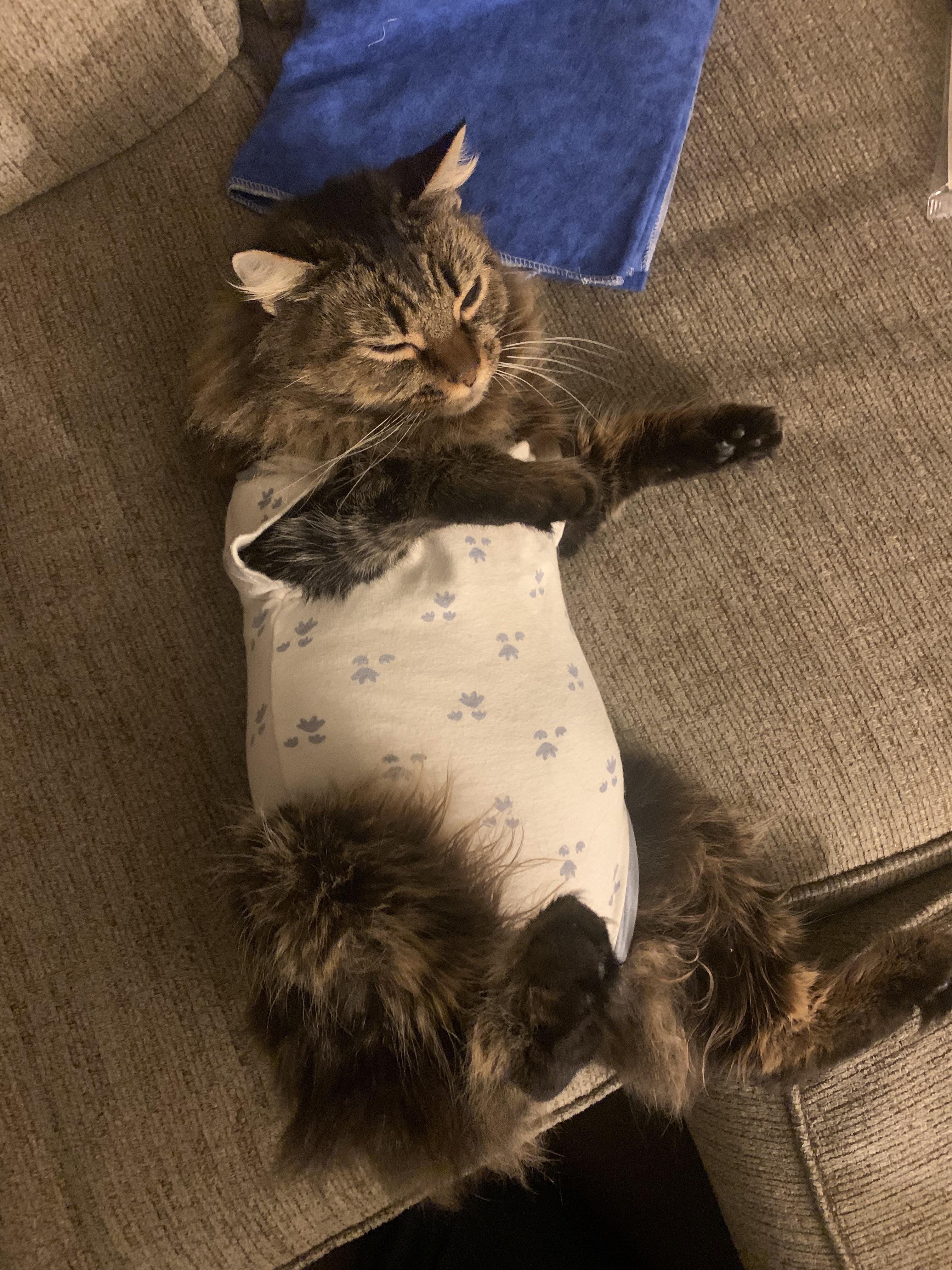 Teaching my husband how to put a diaper on a baby. She wasn’t thrilled