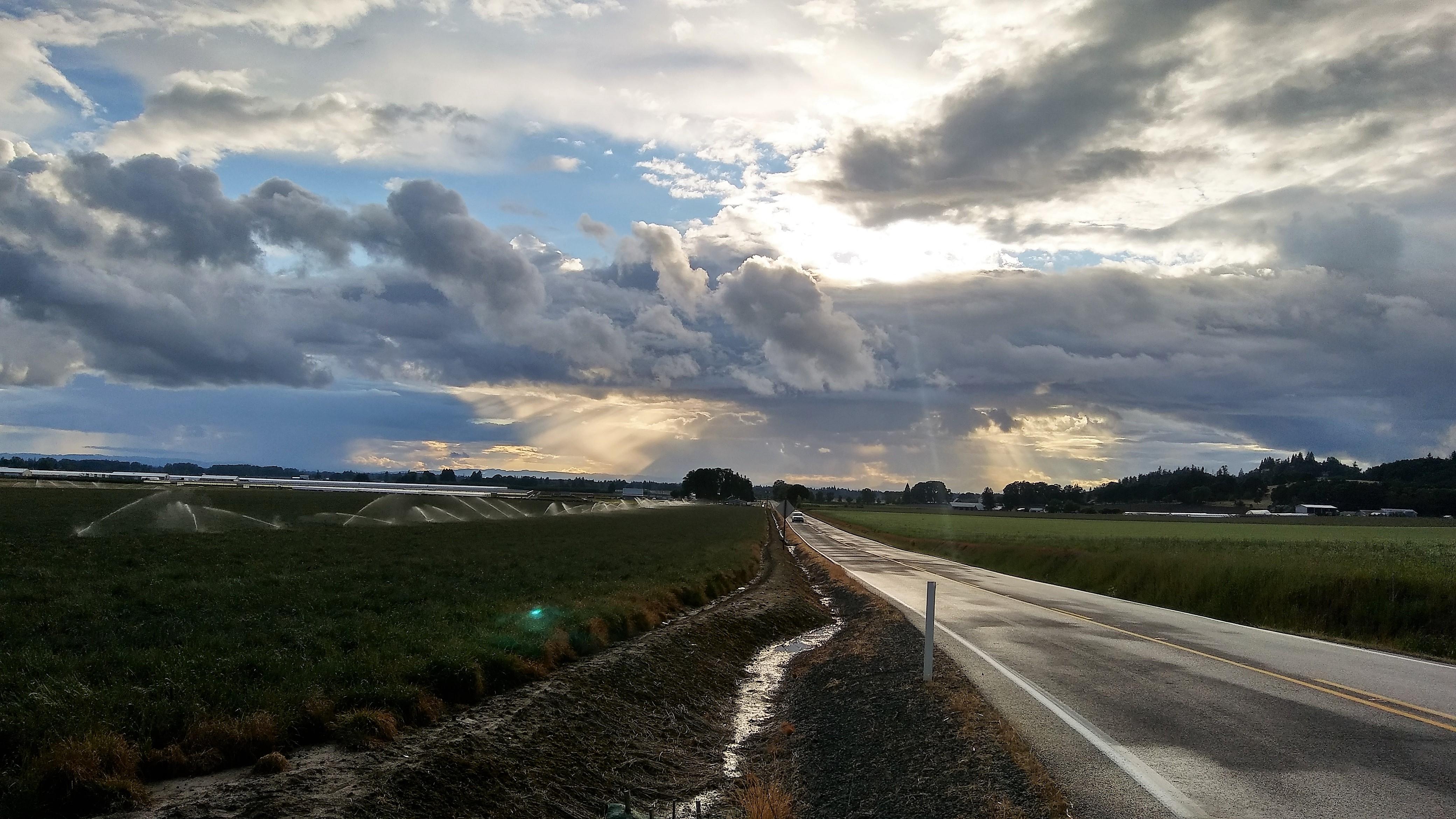 "Spring Mix" Mt Angel Oregon r/oregon