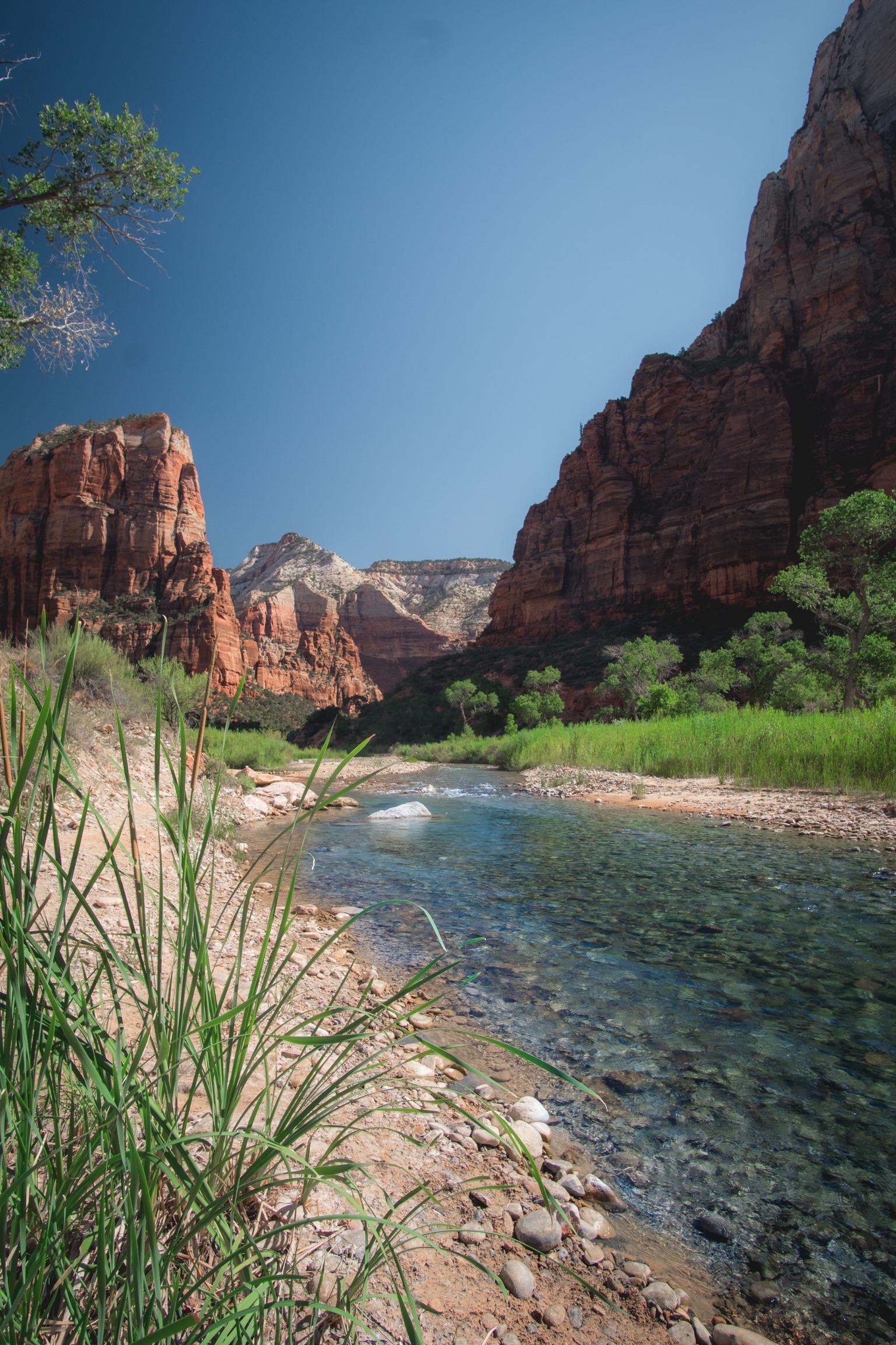 The Virgin River flowing through Zion National Park. [OC] [3867x5800