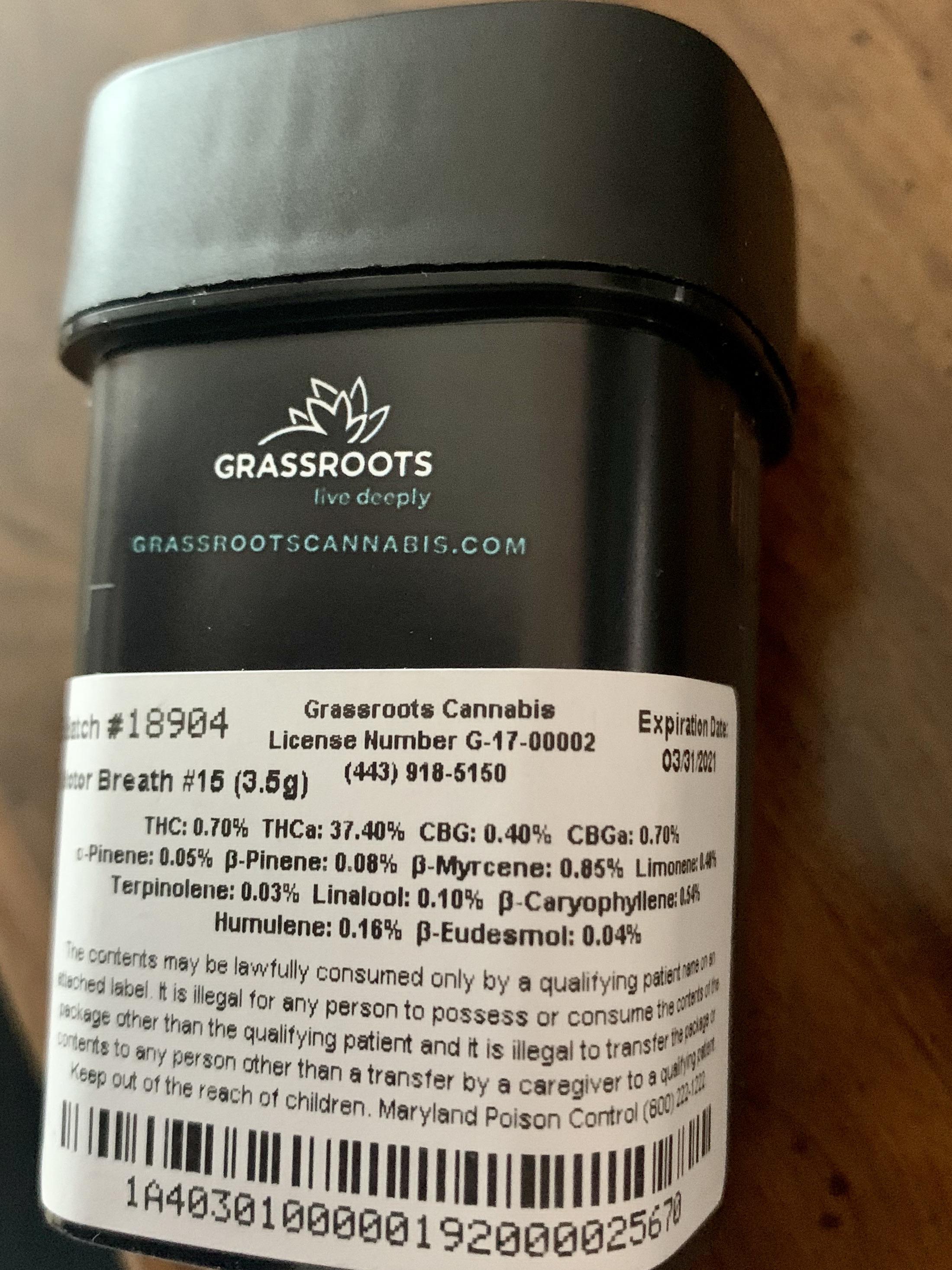 Motor Breath at 37.40 THCa?? Thoughts on this? Got this from Herbology