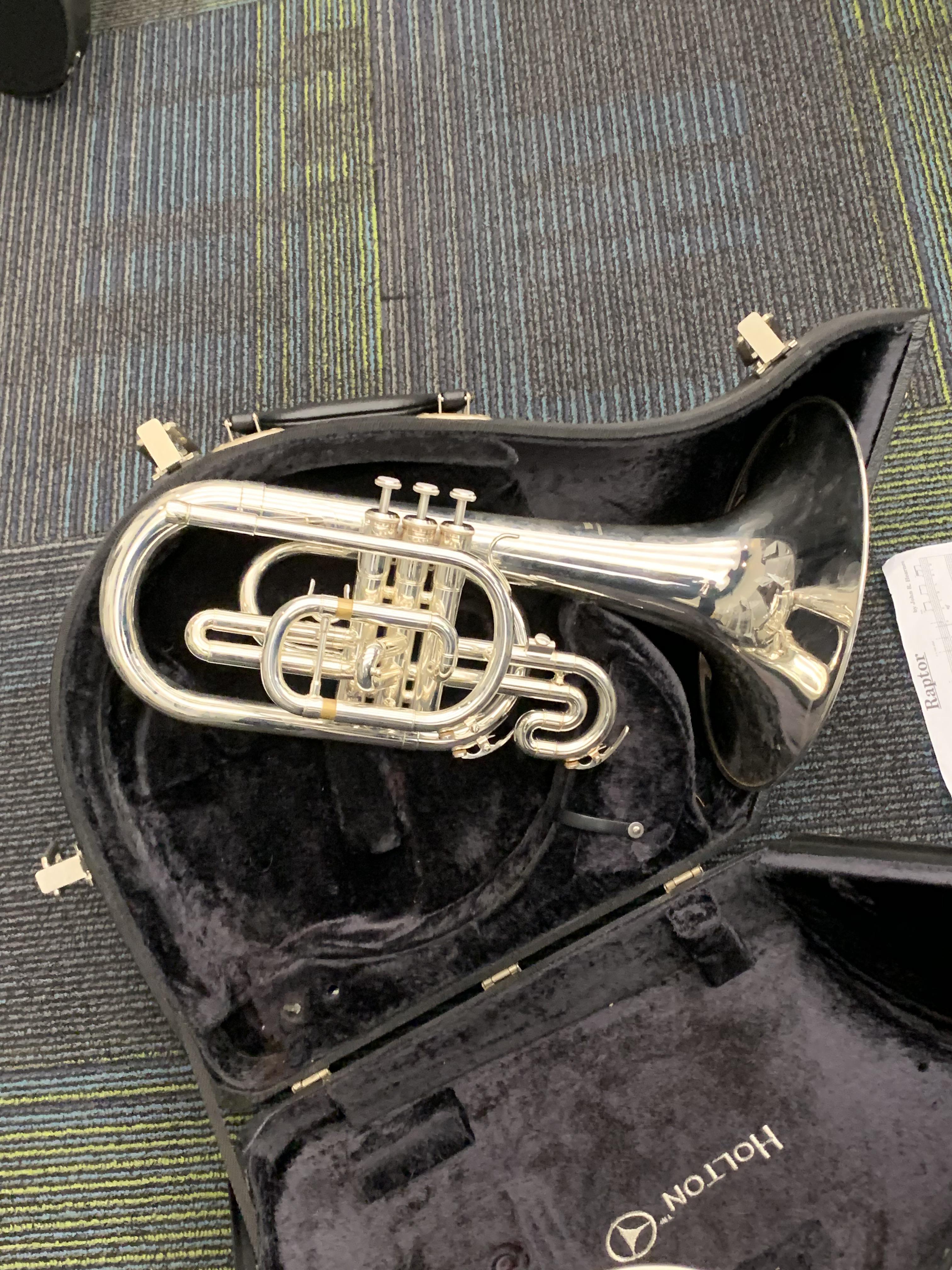 Blursed French horn. r/mellophone
