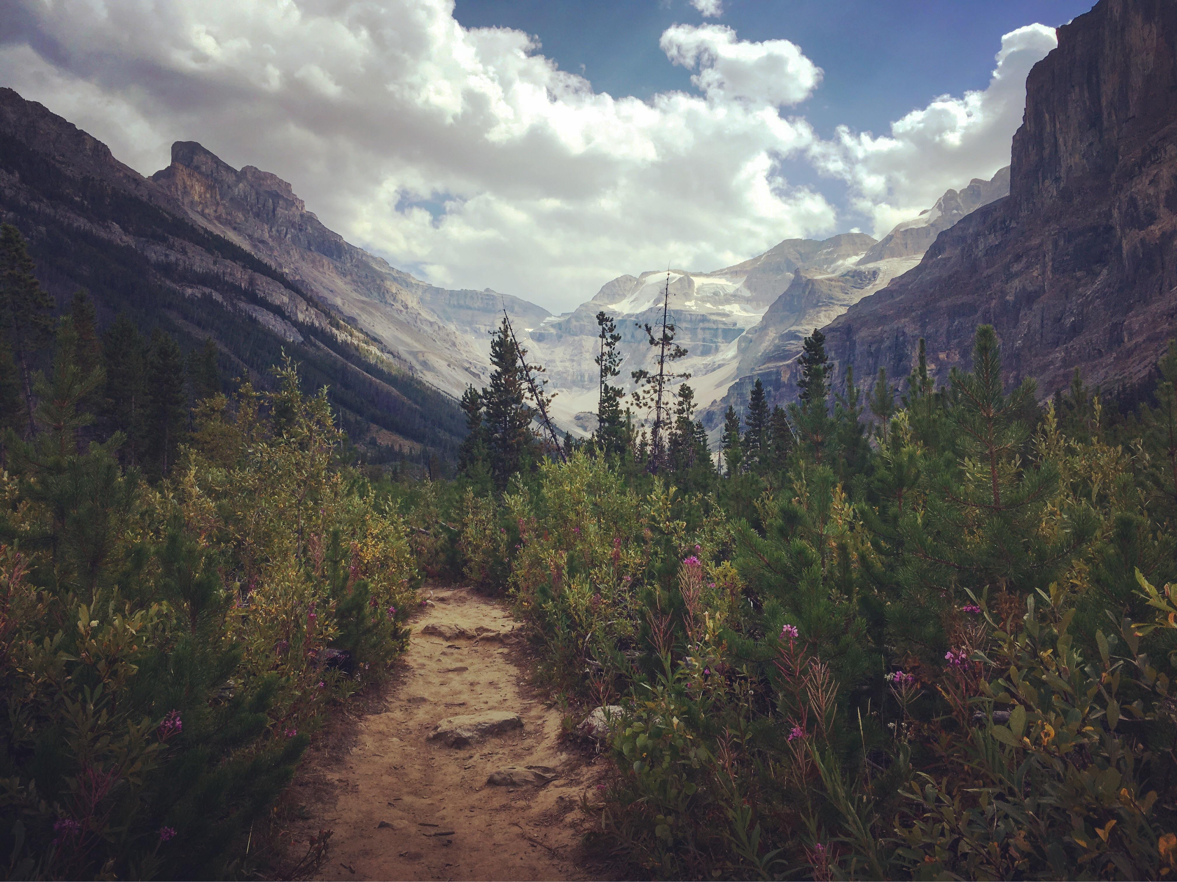 Kootenay National Park, Canada r/CampingandHiking