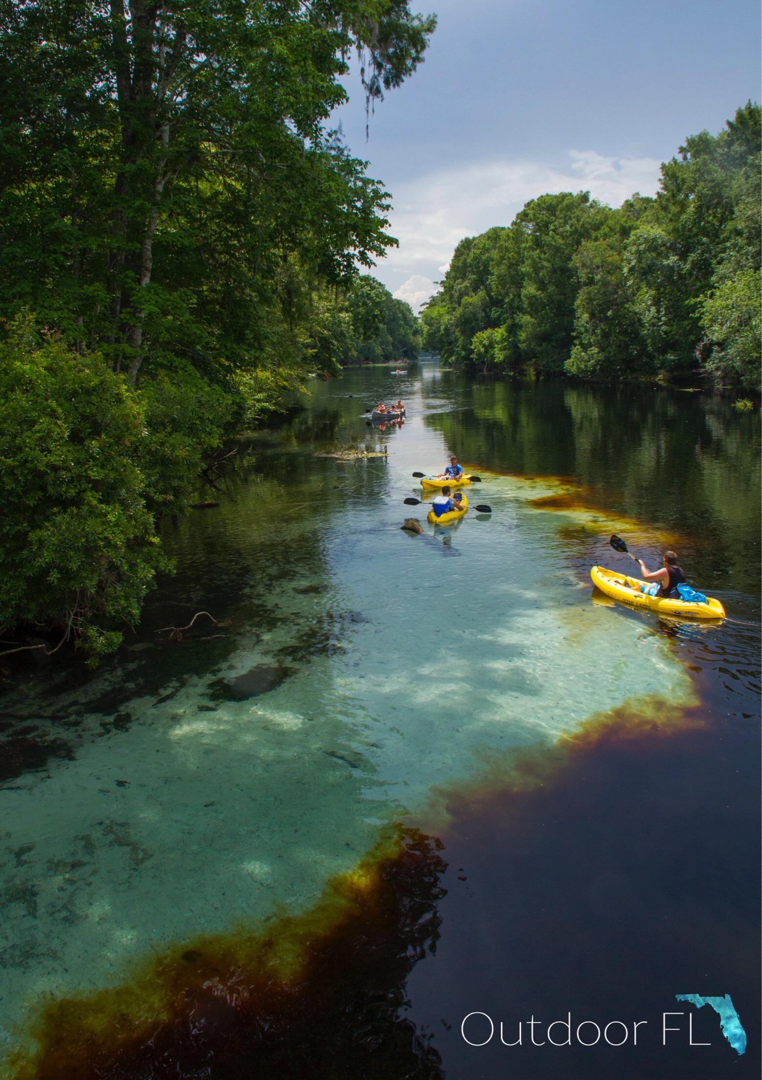 Paddling the Santa Fe River r/florida