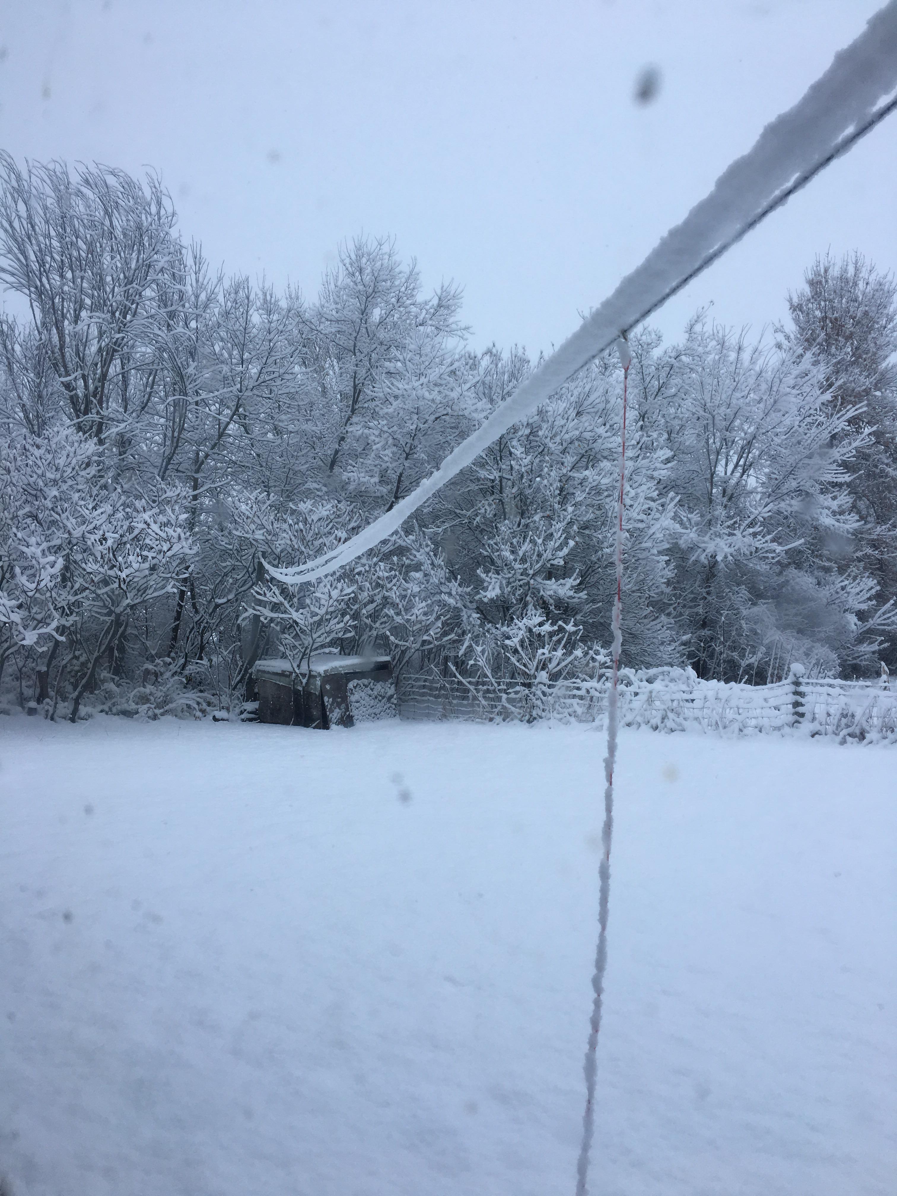 First snowfall of the season in South East Ontario r/canada