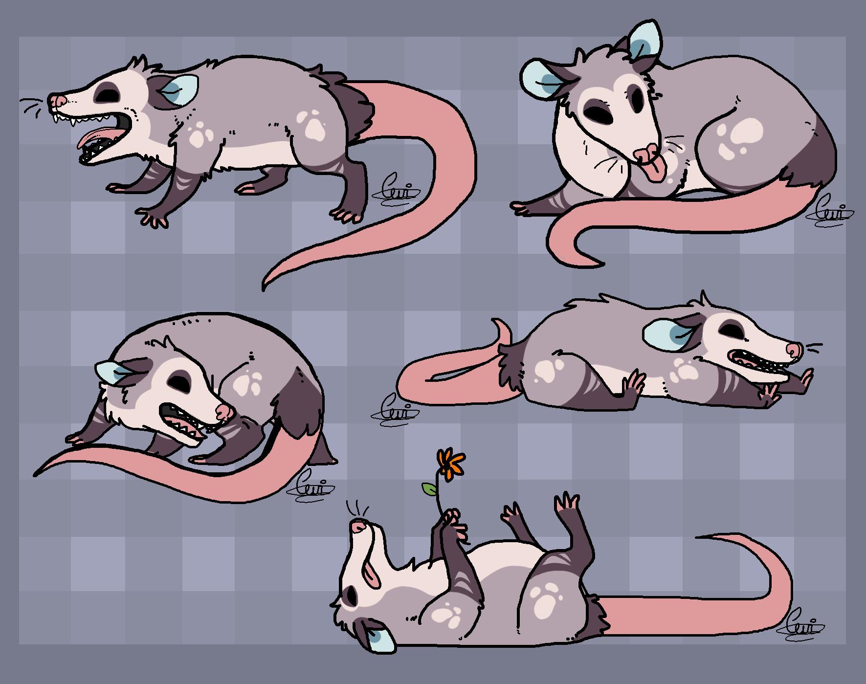 Opossum Fursuit Base canvasisto