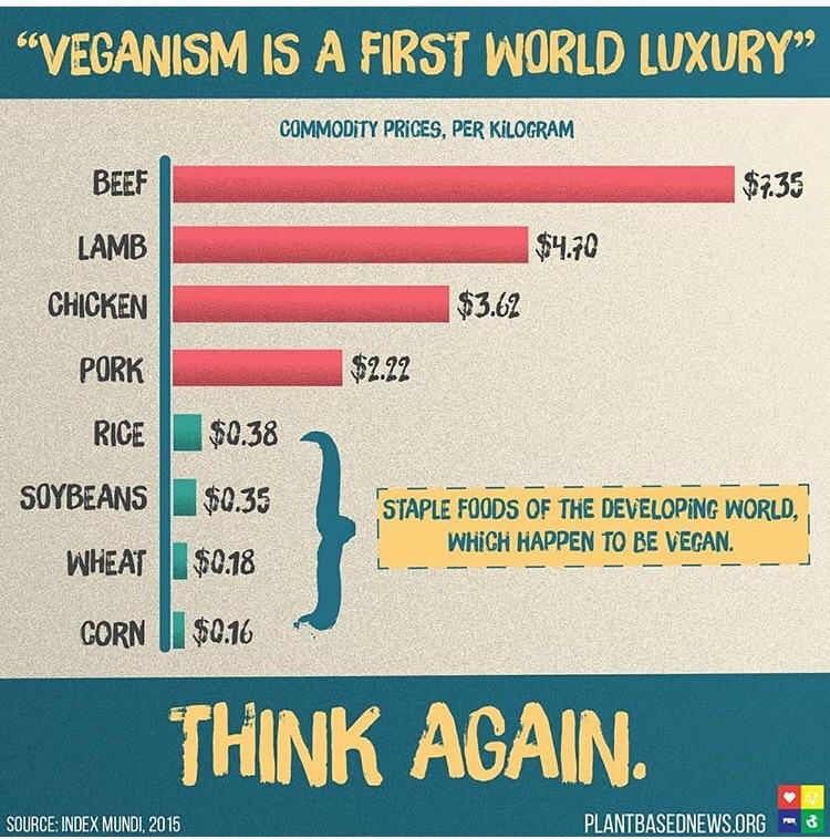 “Being vegan is too expensive!” r/vegan