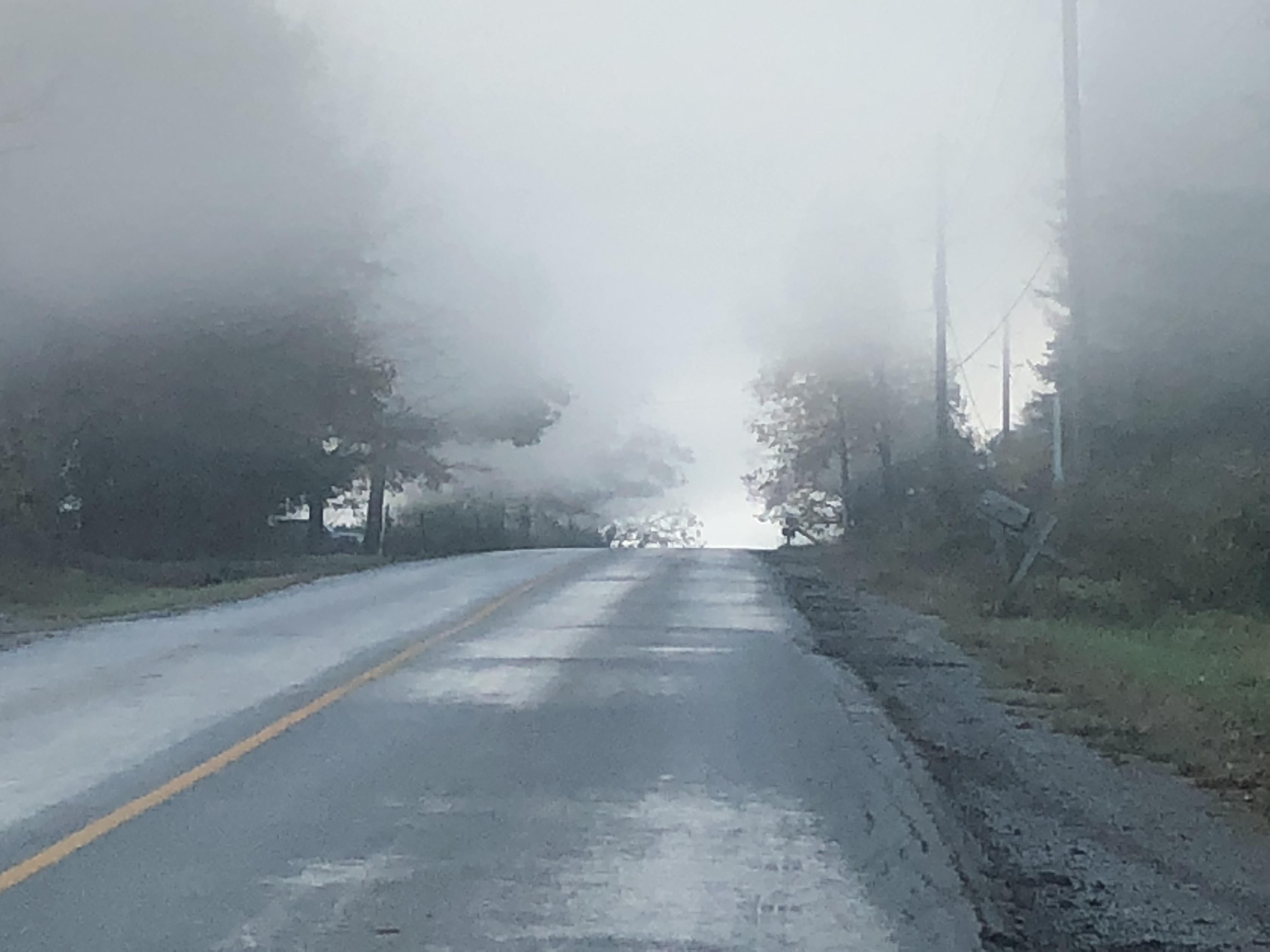 I didn’t want to drive over the foggy hill. Looked ominous. pics