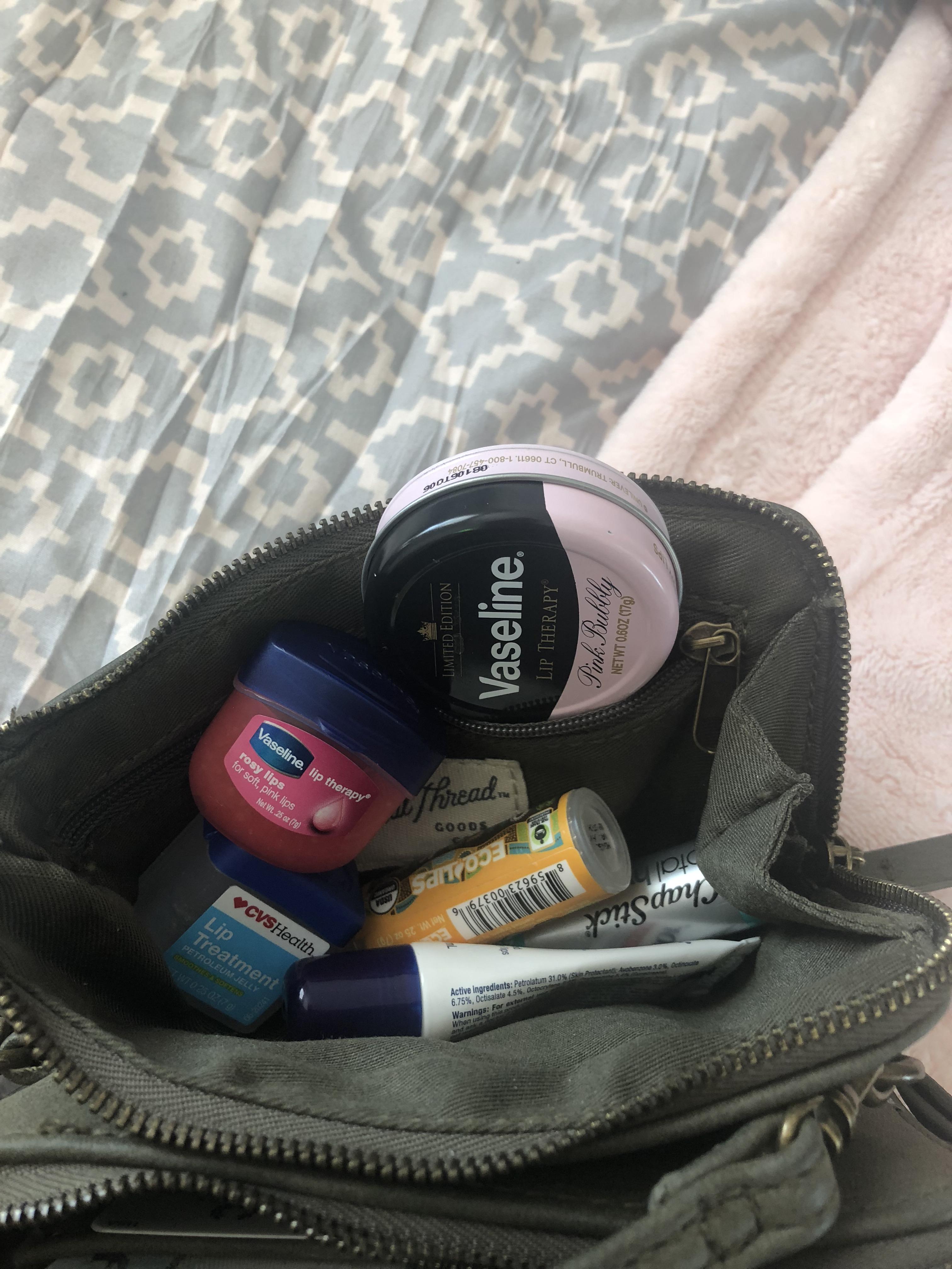 A pocket of my purse is really dedicated to lip care r/Accutane