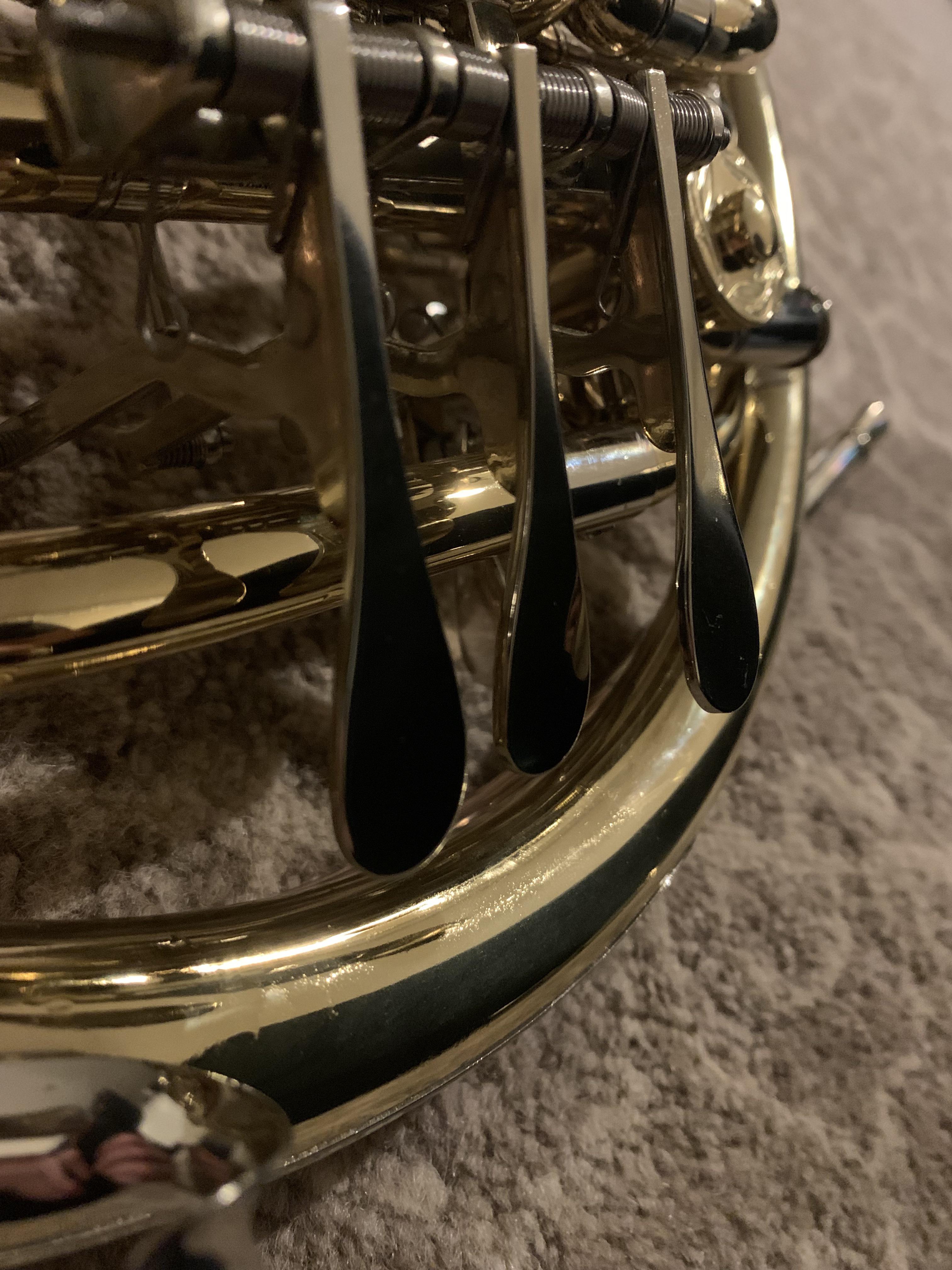 The valves wouldn’t move on my French Horn after I didn’t touch it for
