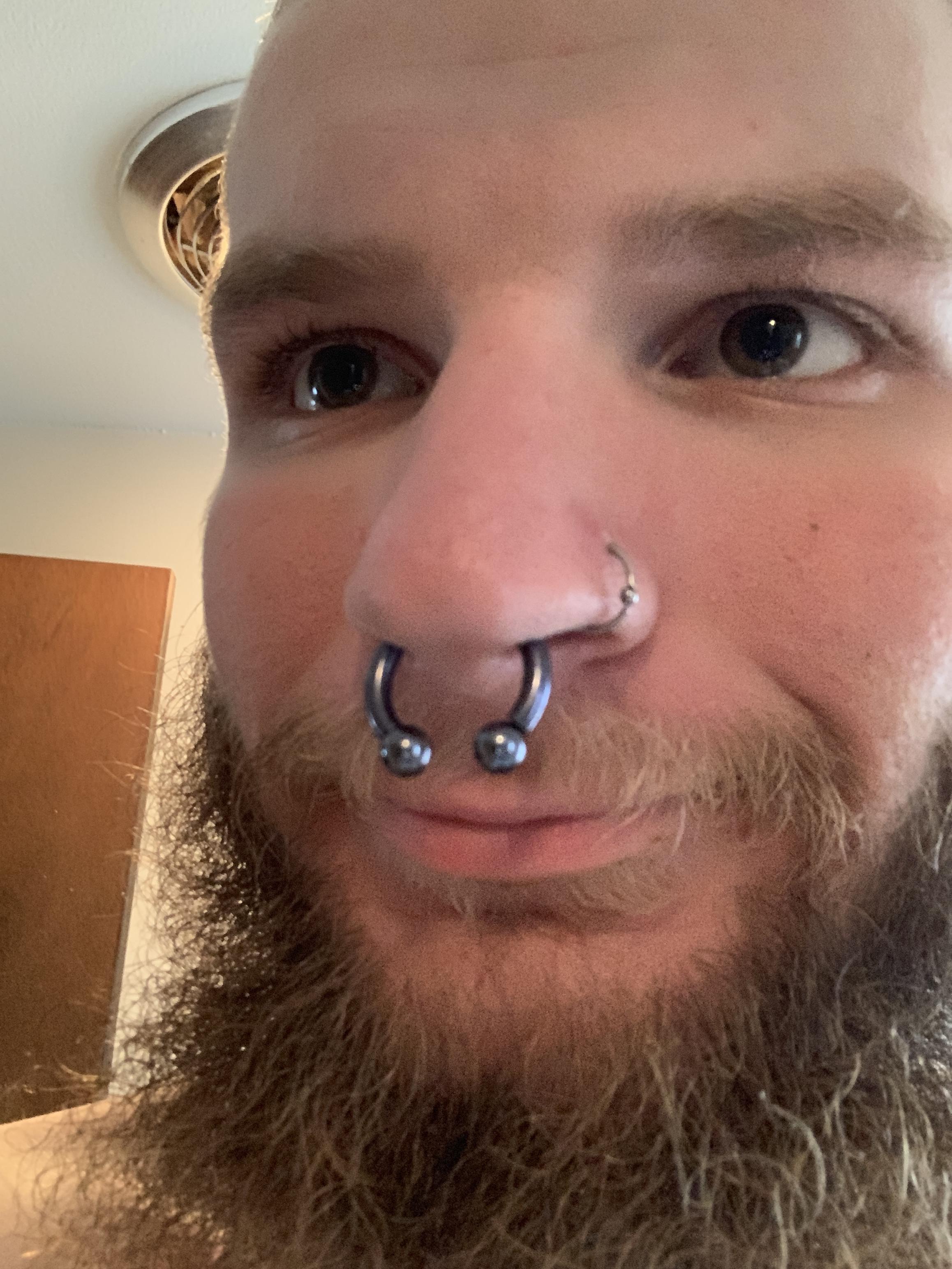 Stretched my septum to an 8G D piercing