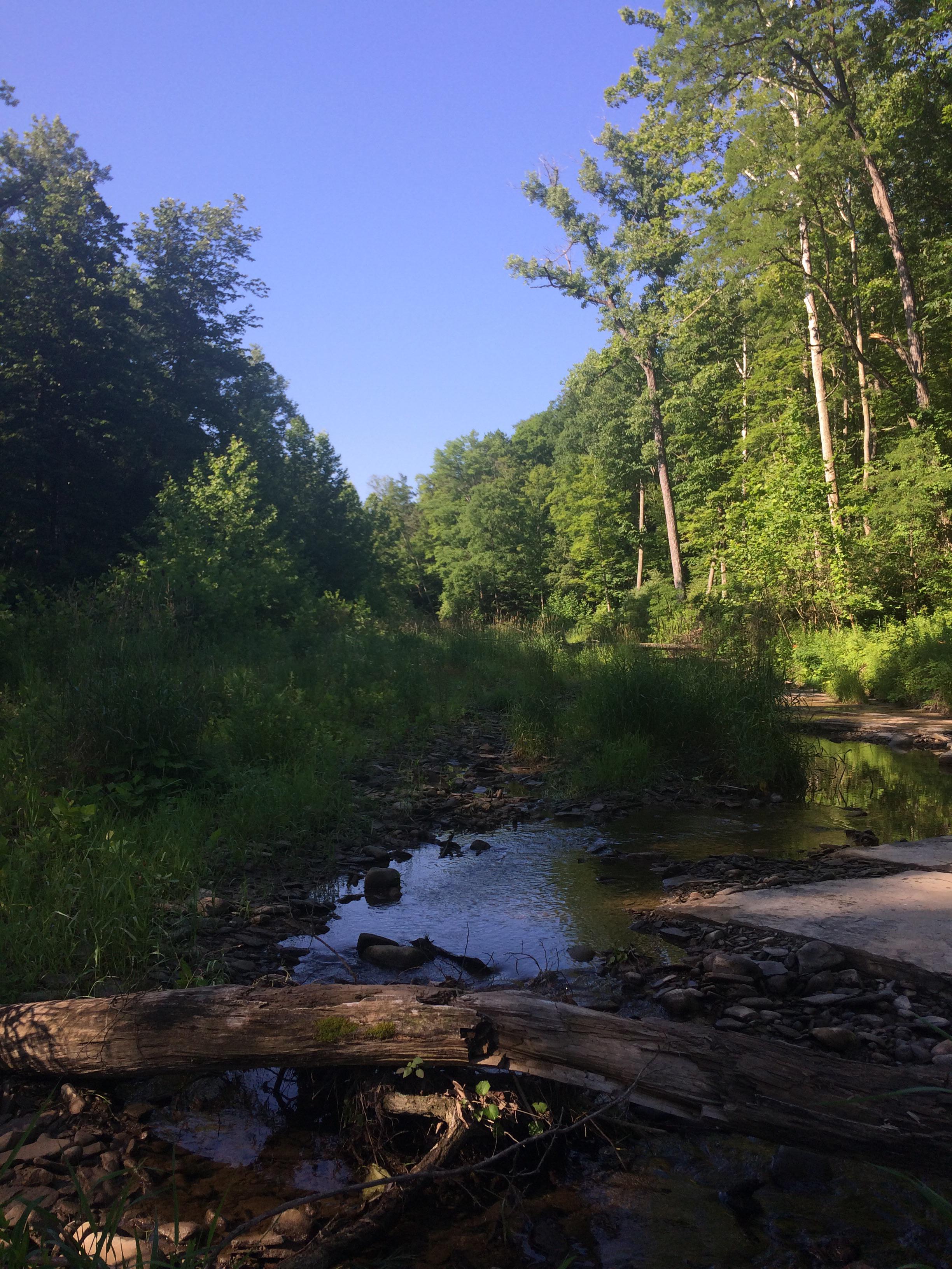 Buttermilk Falls State Park r/natureporn