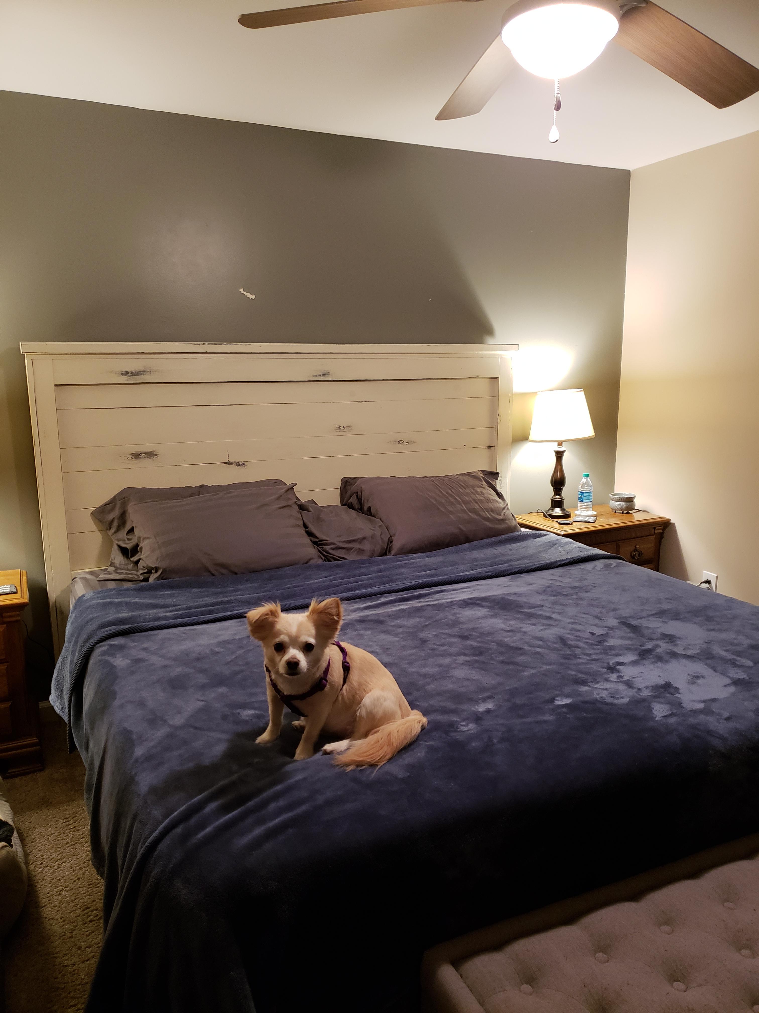 The wife wanted an antique headboard. I built this from pine, chalk